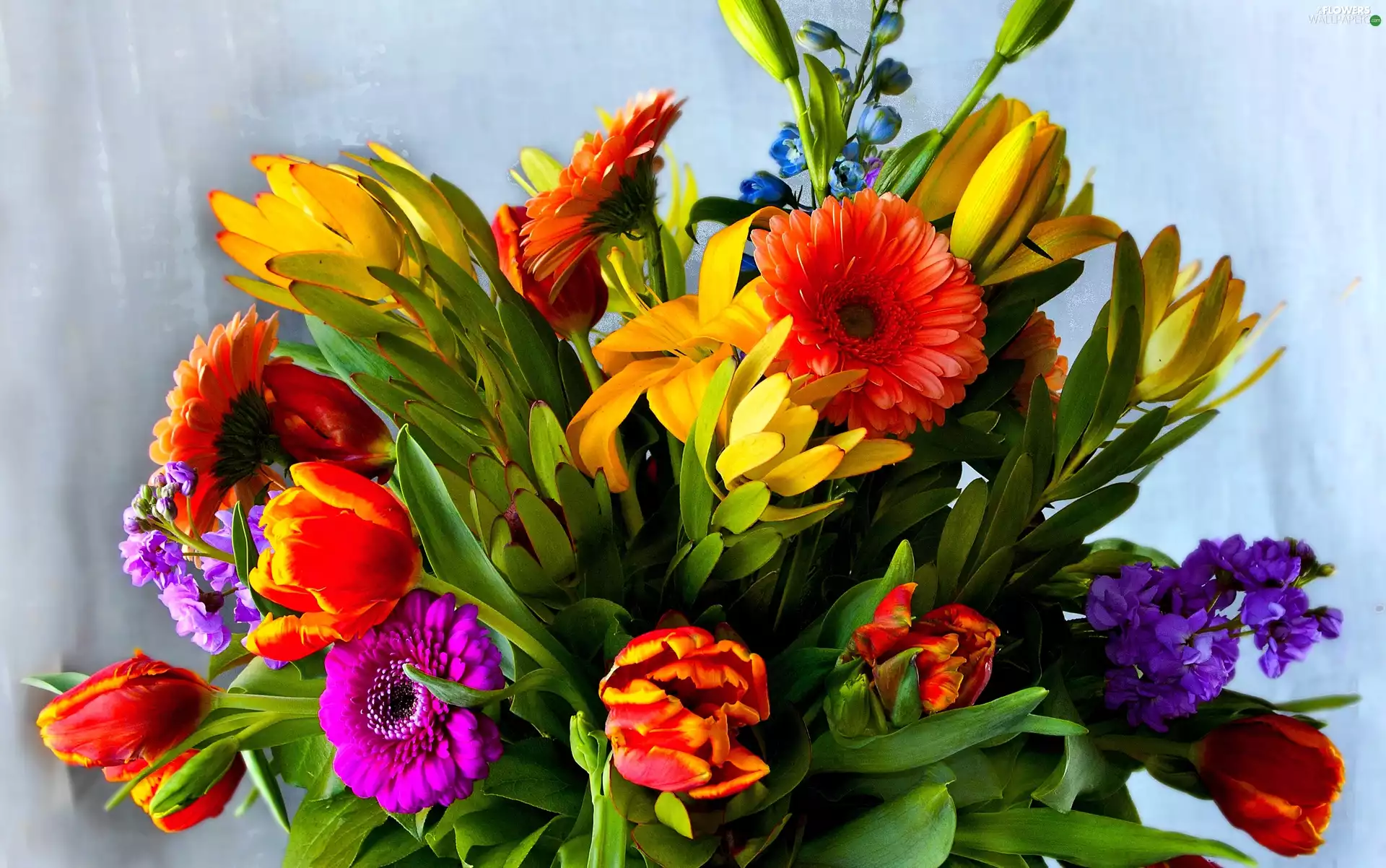 flowers, bouquet, Colorful