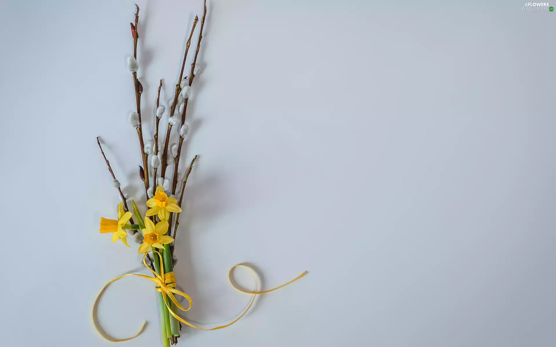 database, Jonquil, bunch, Flowers