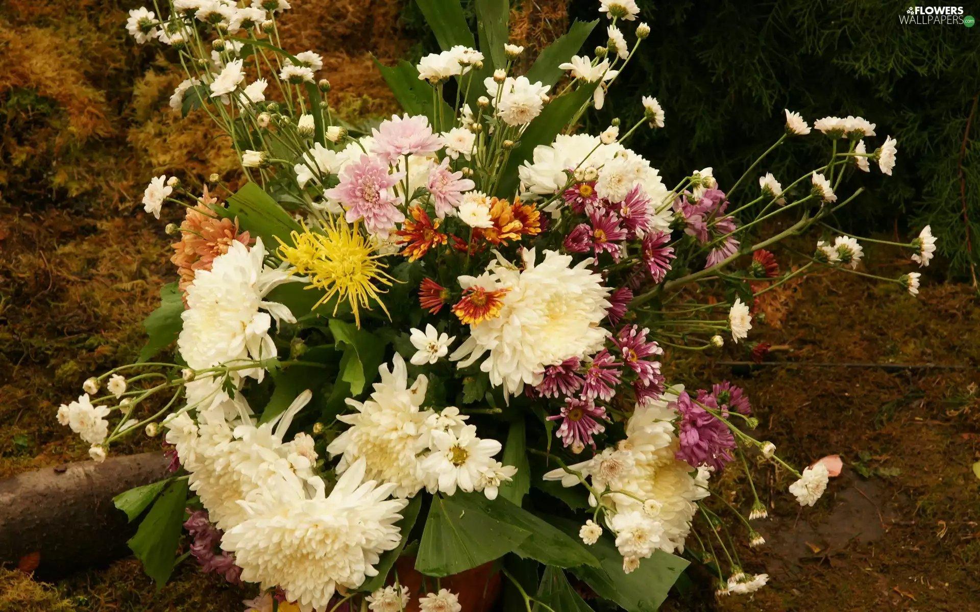 flowers, bouquet, different