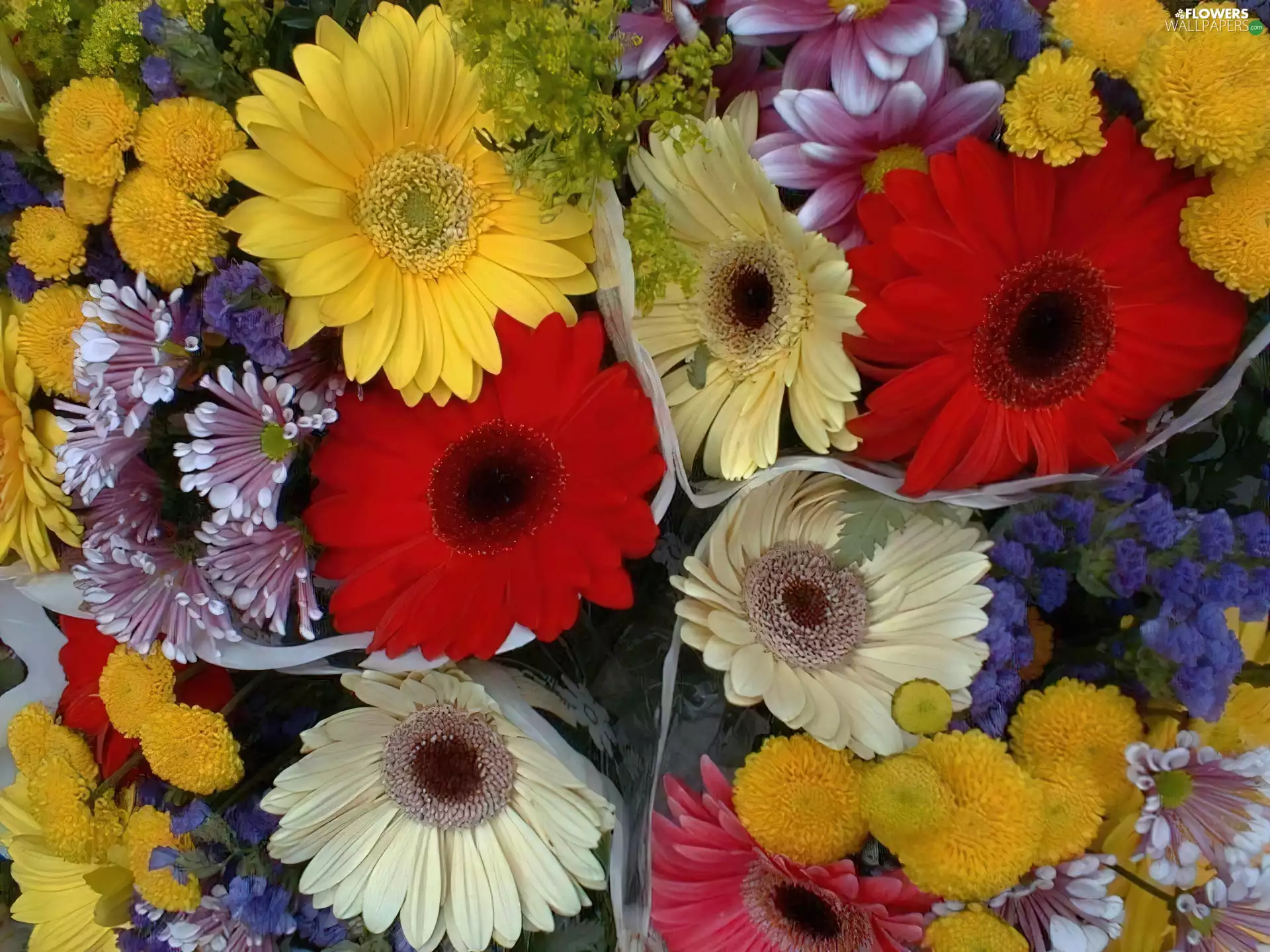 flowers, bunch, different