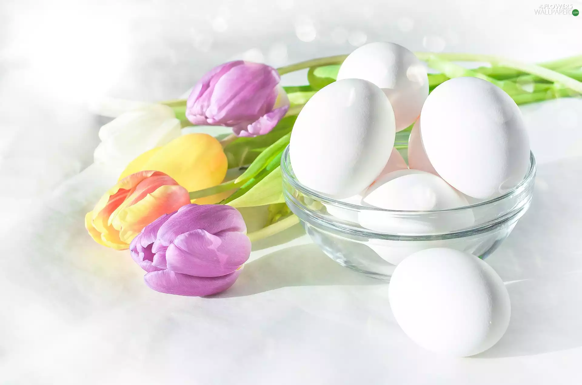 Easter, Tulips, eggs, Flowers
