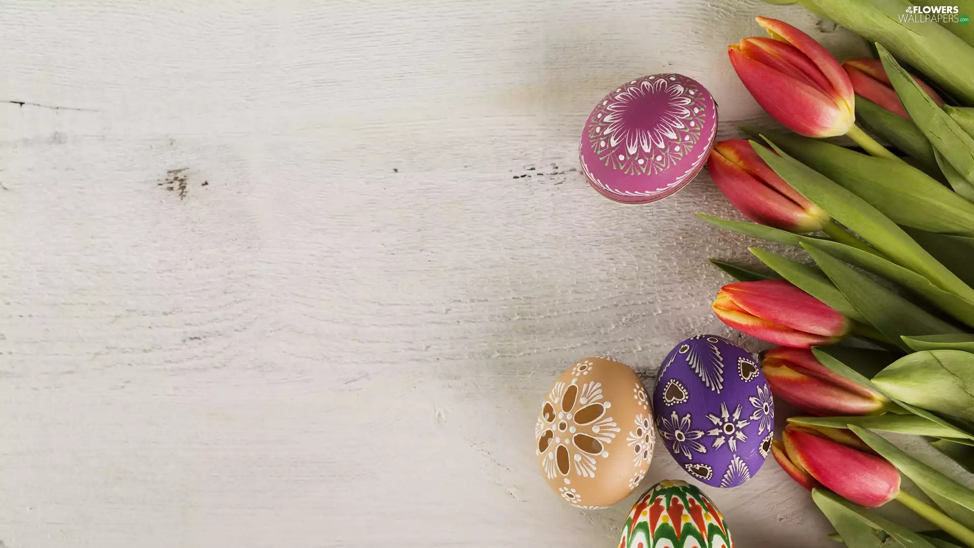 Easter, Tulips, eggs, Flowers
