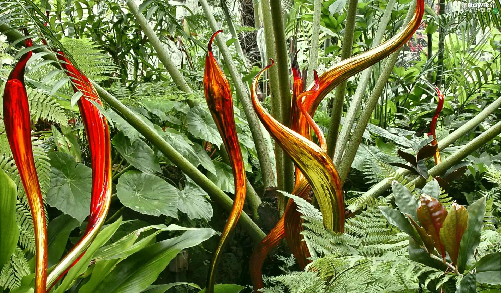 Flowers, fern, exotic
