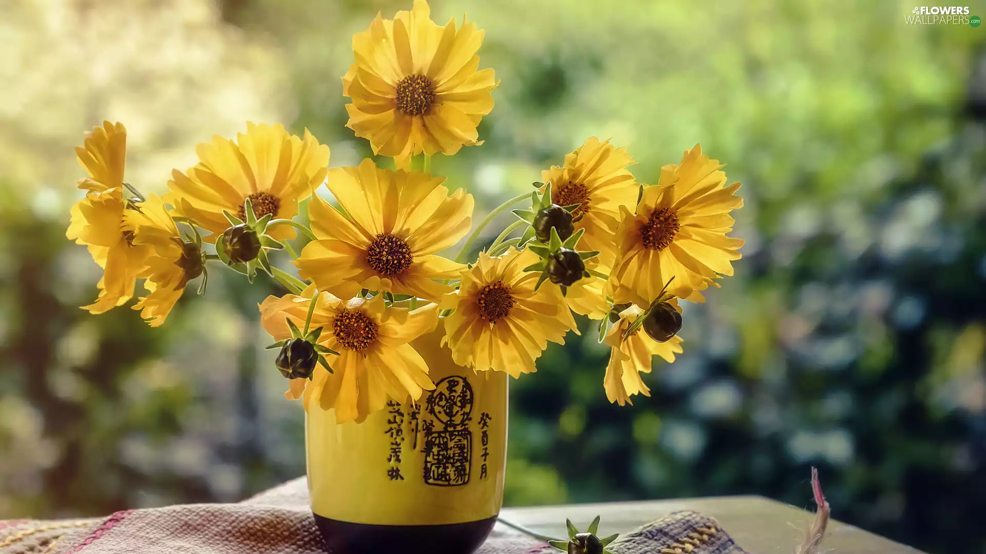 Yellow, Yellow, fuzzy, Flowers, Calliopsis, vase, background