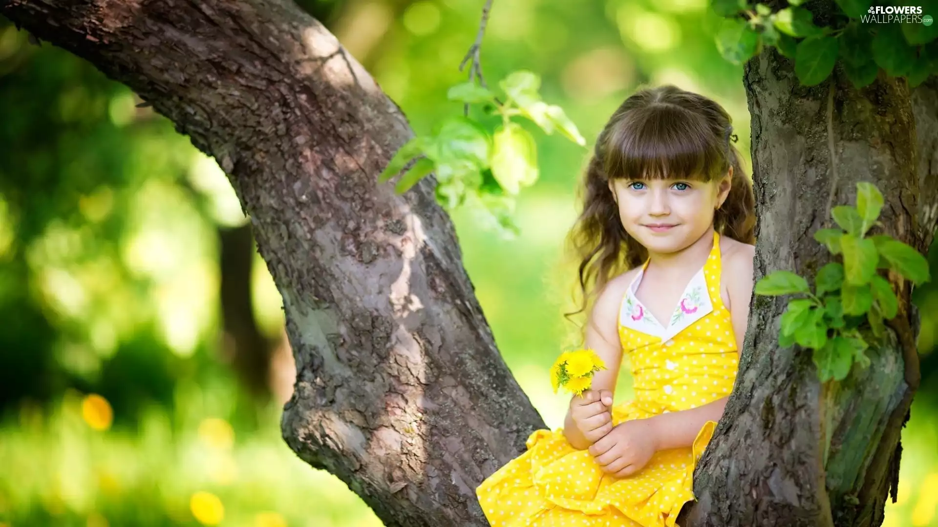 bouquet, Flowers, girl, trees, Kid