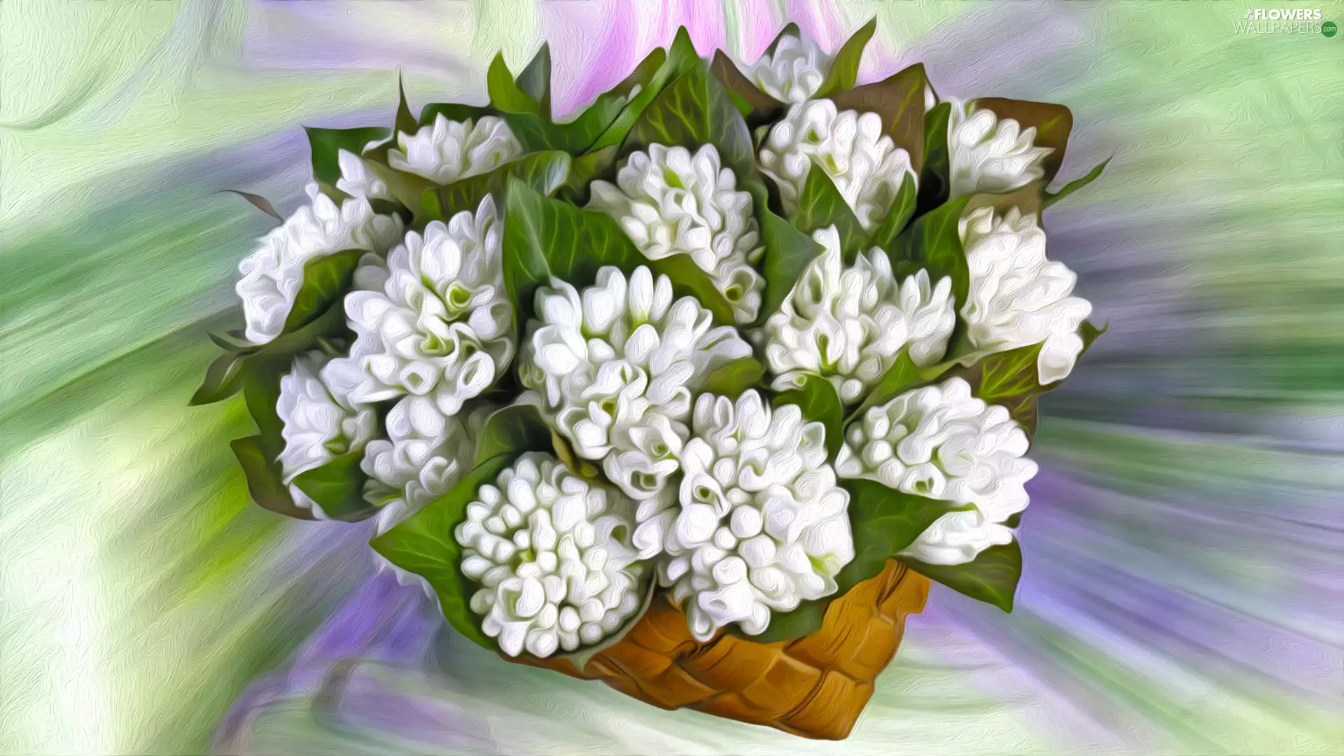 graphics, snowdrops, basket, Flowers