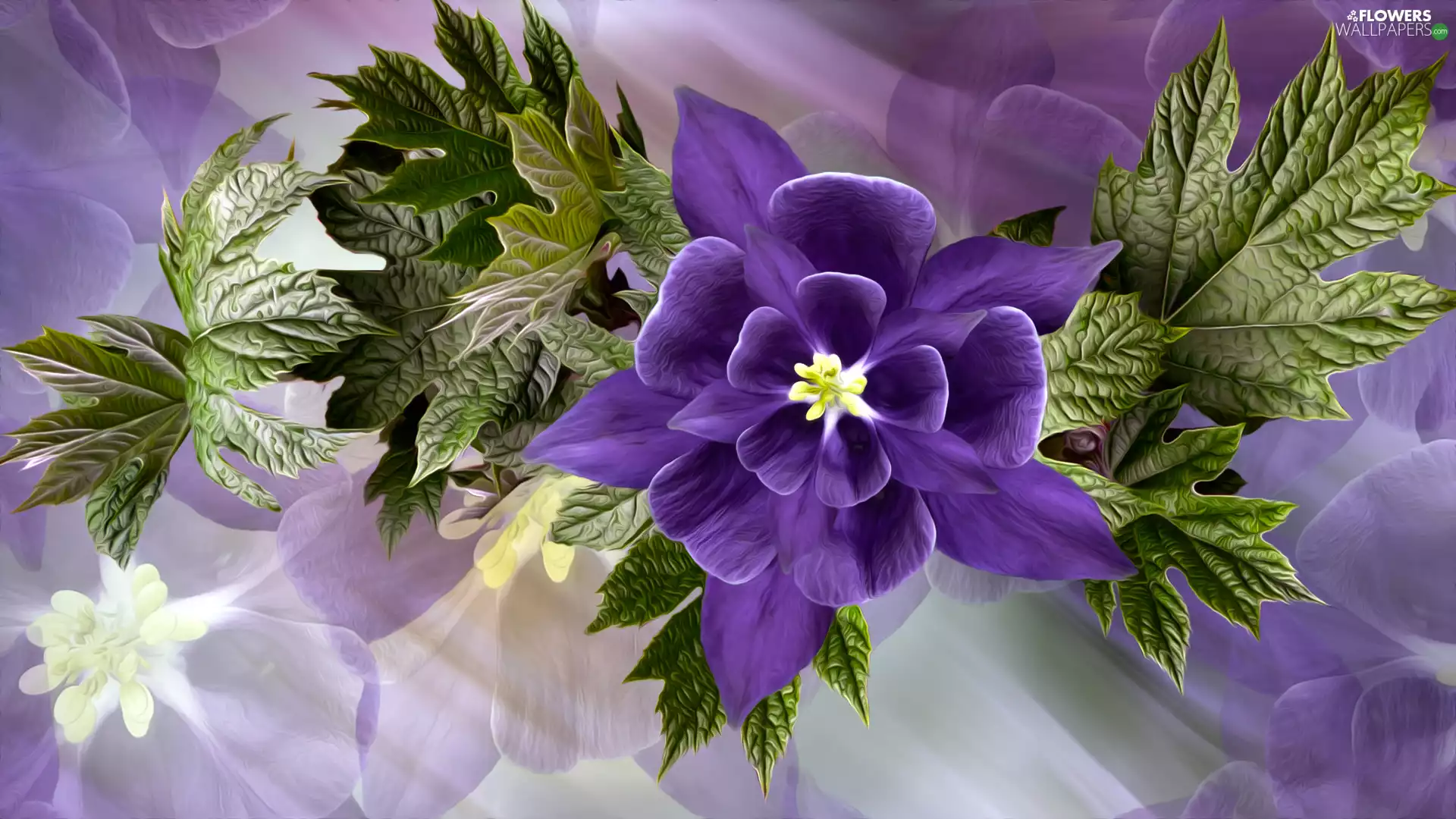 columbine, Leaf, Colourfull Flowers, Violet, graphics - Flowers ...