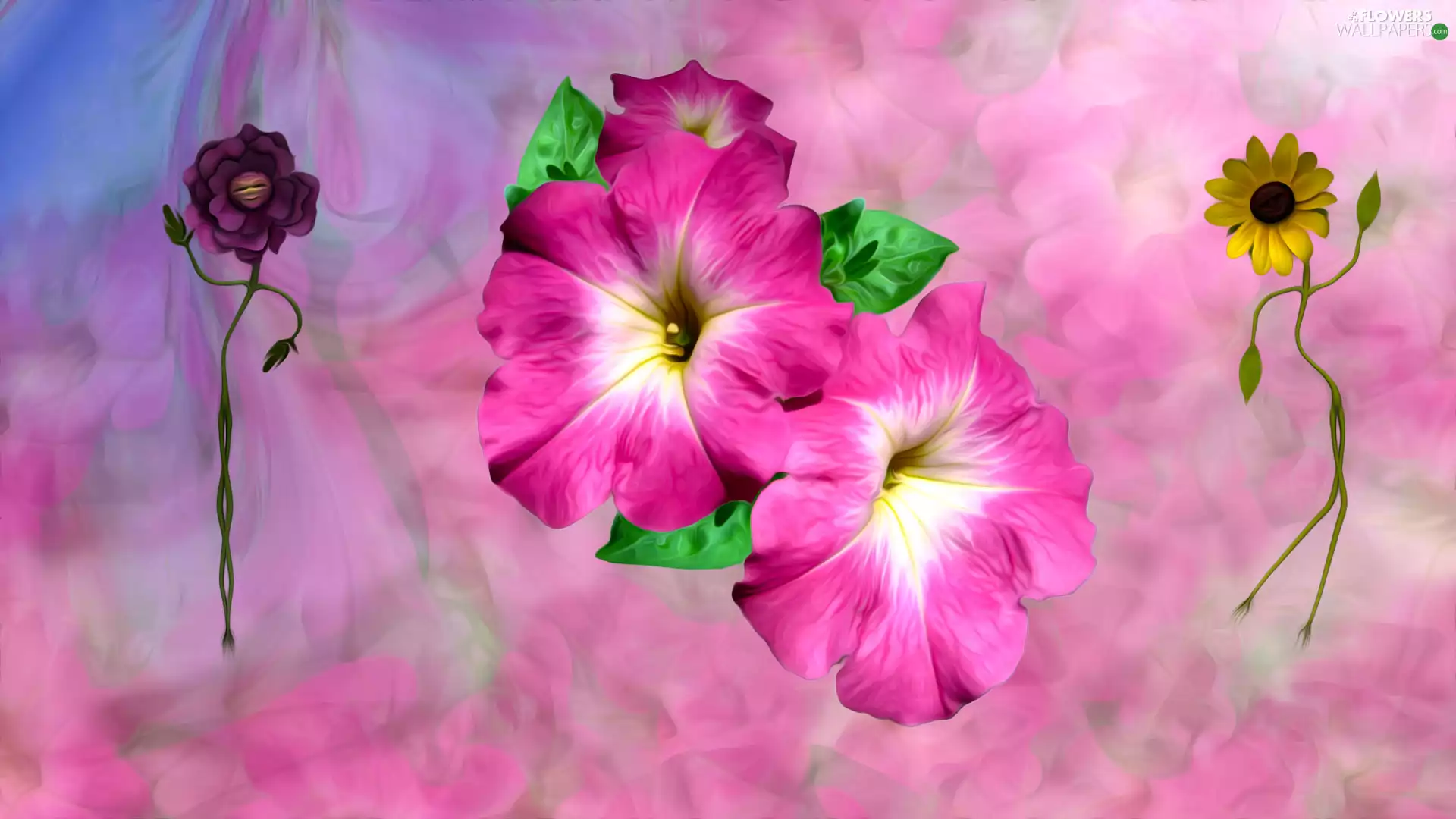 Flowers, Petunia, graphics