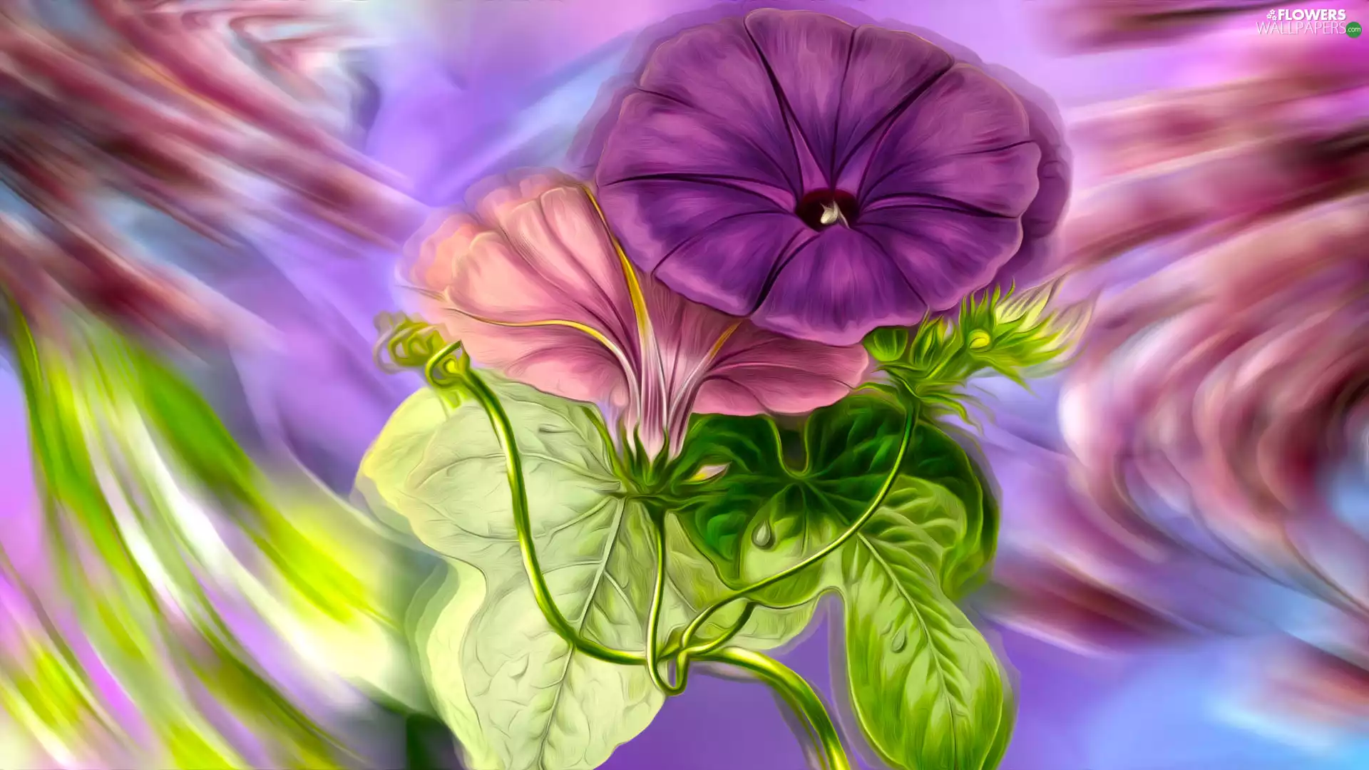 graphics, leaves, petunias, Flowers