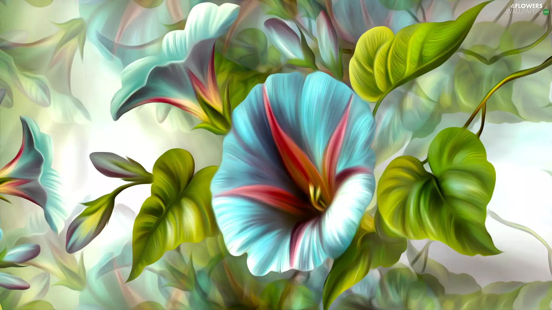 graphics, bindweed, rapprochement, Flowers