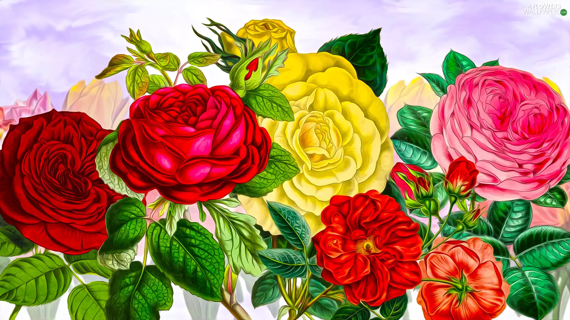 graphics, color, roses, Flowers