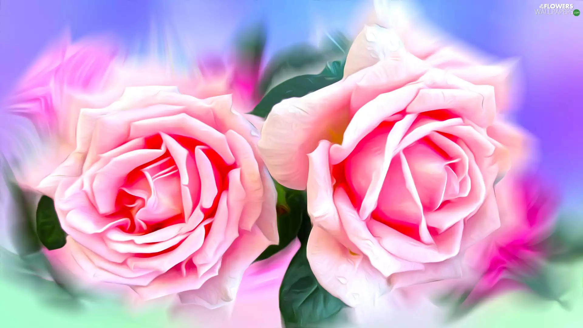 graphics, Two, roses, Flowers