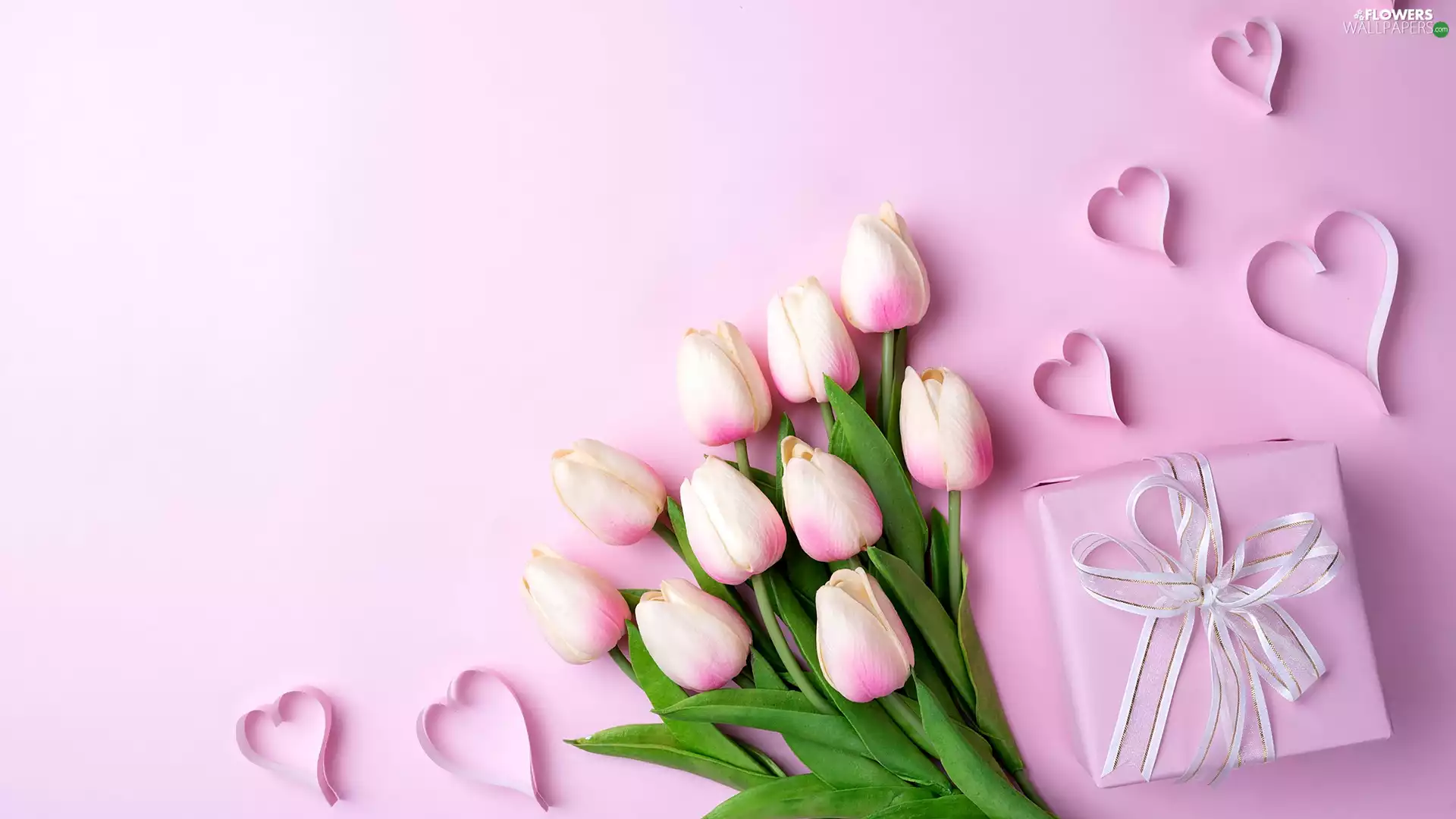 Present, Pink Background, Flowers, Tulips, hearts