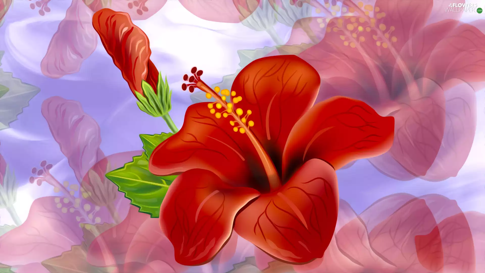 Colourfull Flowers, hibiskus, graphics, Red