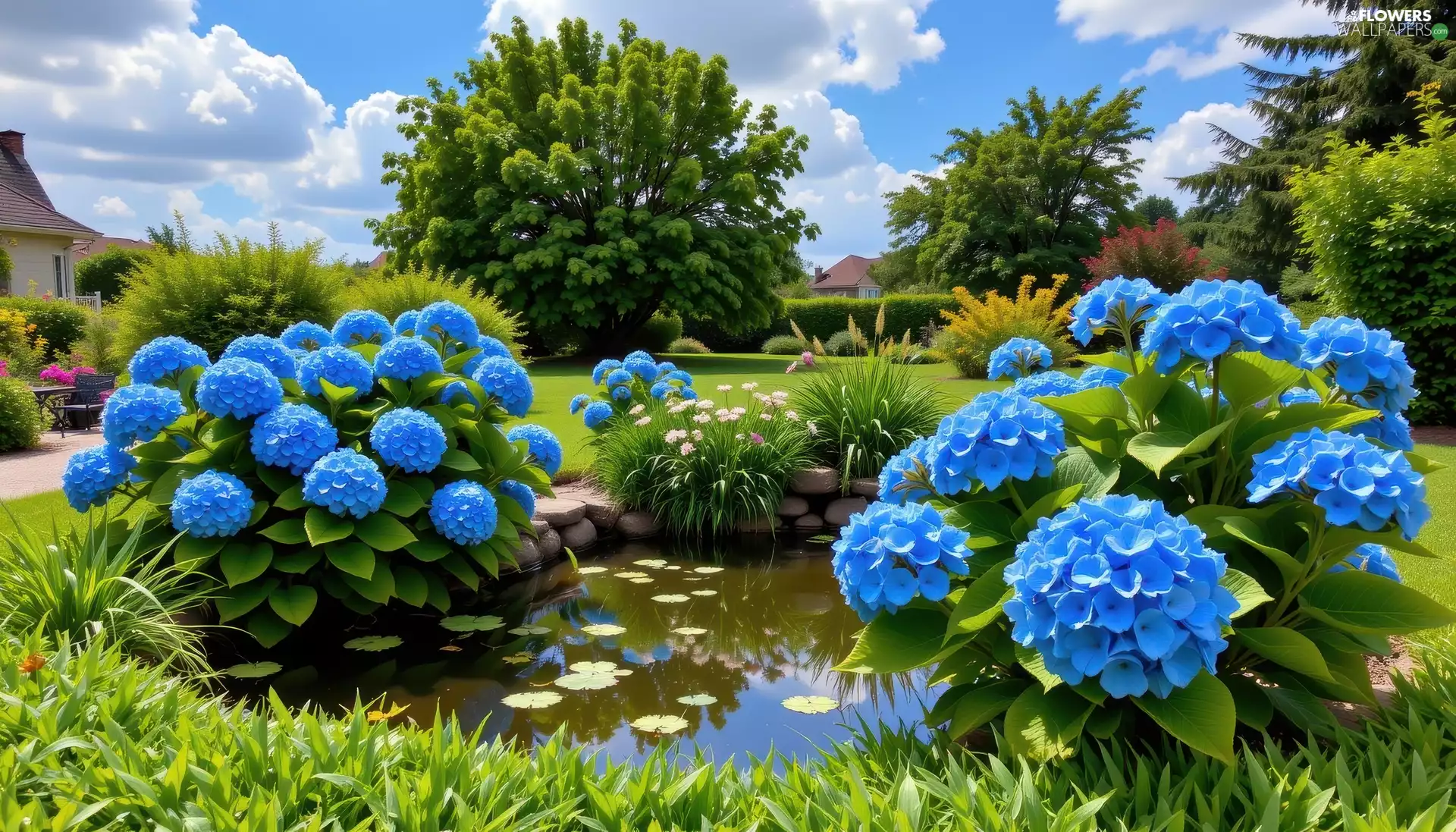 Houses, Blue, Pond Water, Sky, trees, Flowers, hydrangeas, Garden, green, viewes