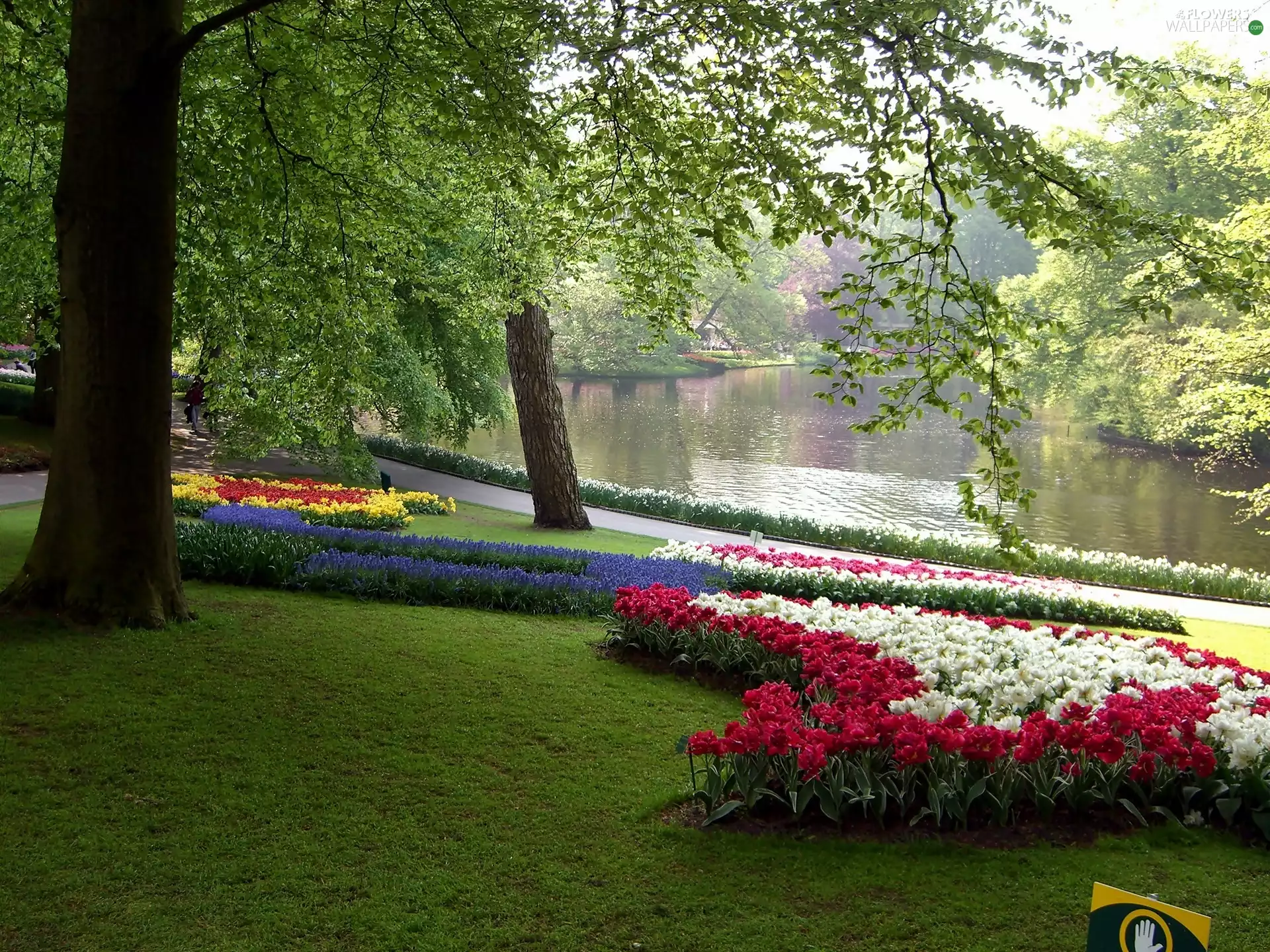 Lisse, Park, flourishing, Flowers, Spring, Kaukenhof
