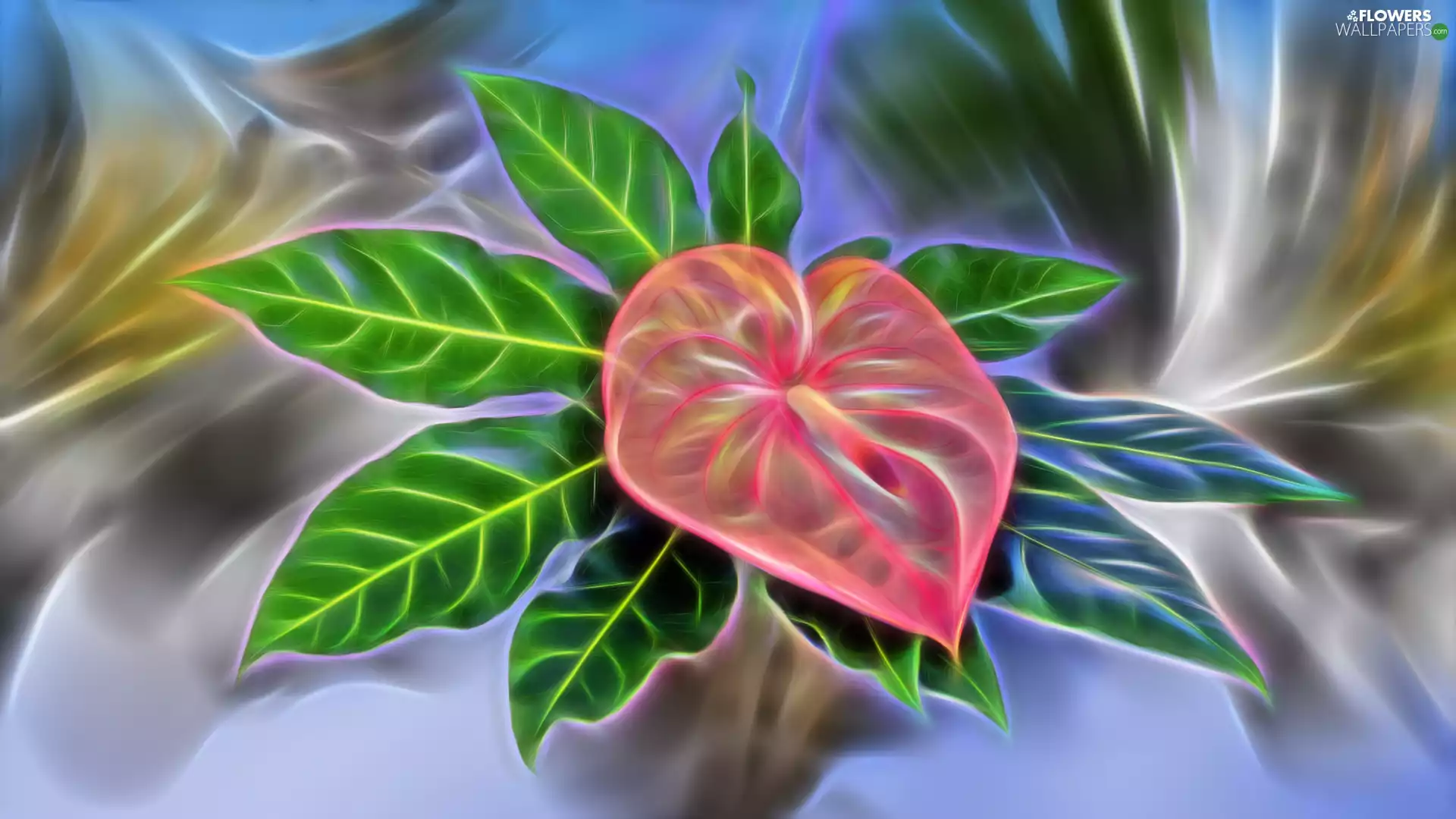 Colourfull Flowers, Leaf, Fractailus, Anturium