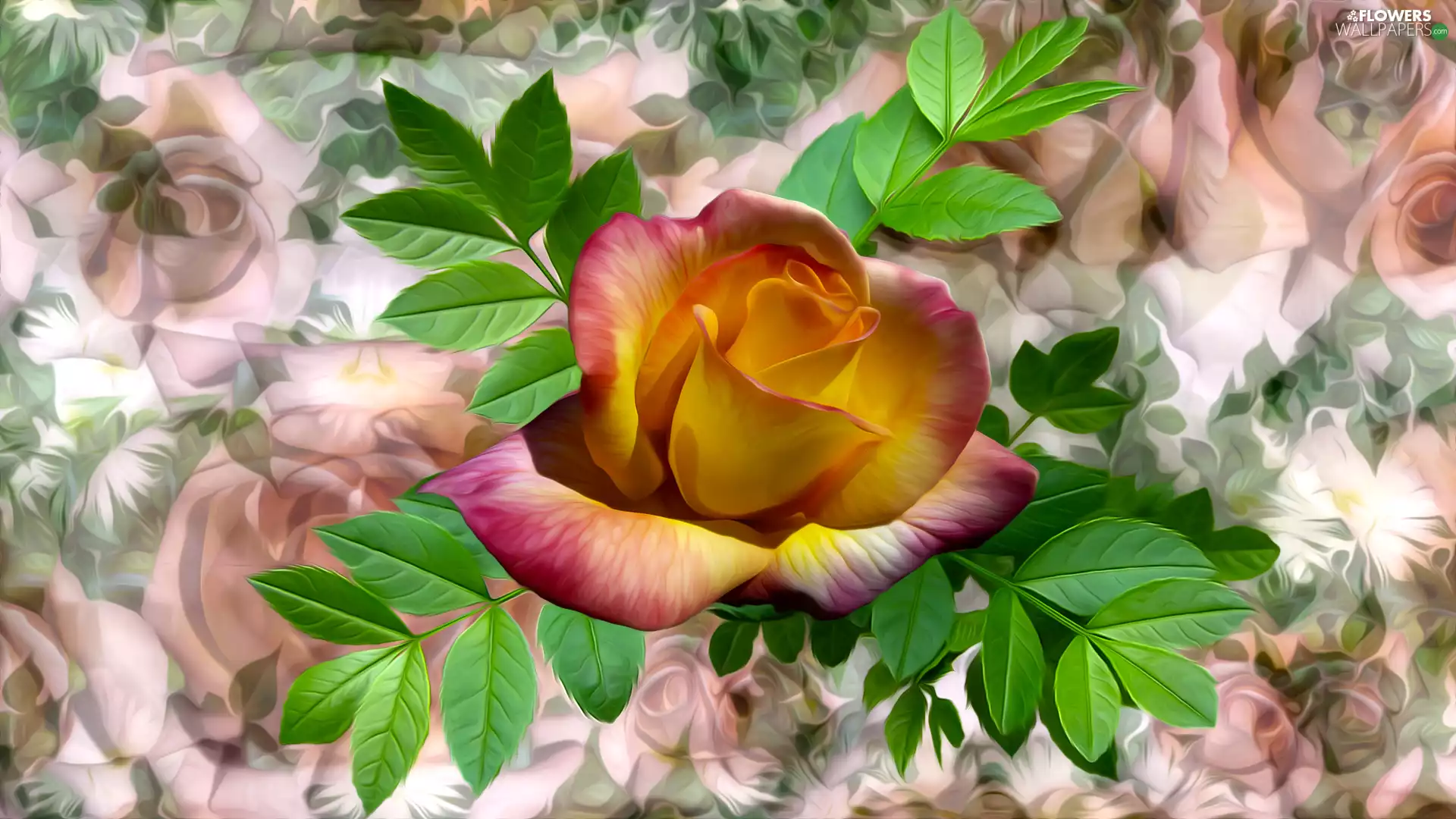 Colourfull Flowers, leaves, graphics, rose