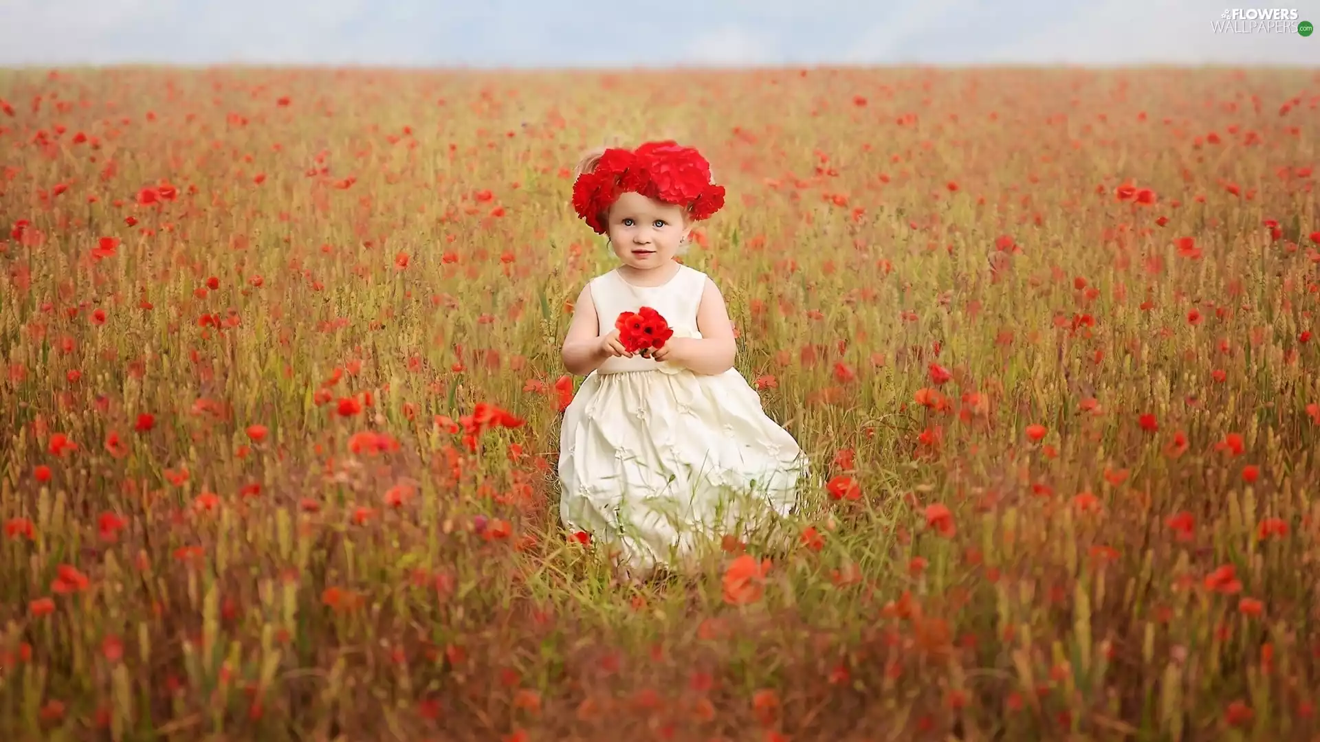 Meadow, papavers, girl, Flowers