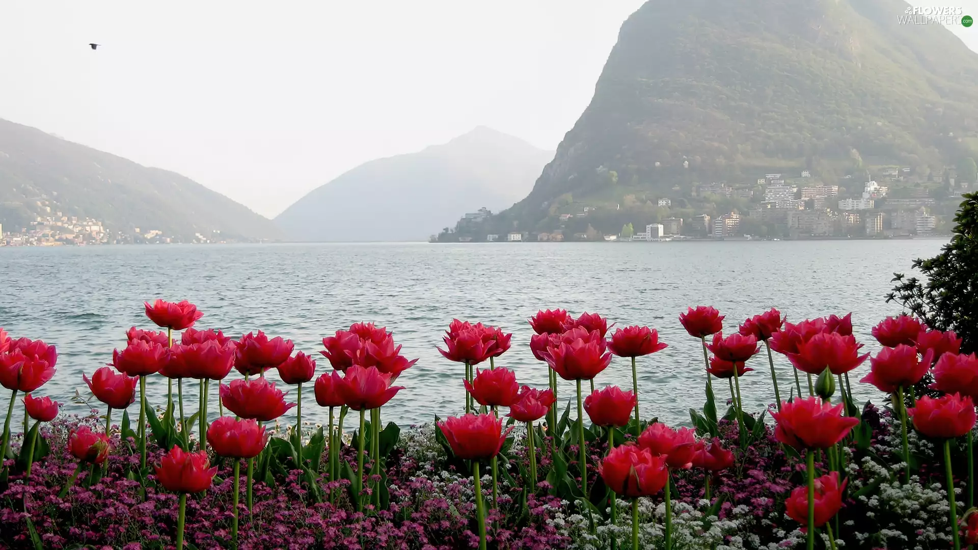 Mountains, water, Flowers, buildings