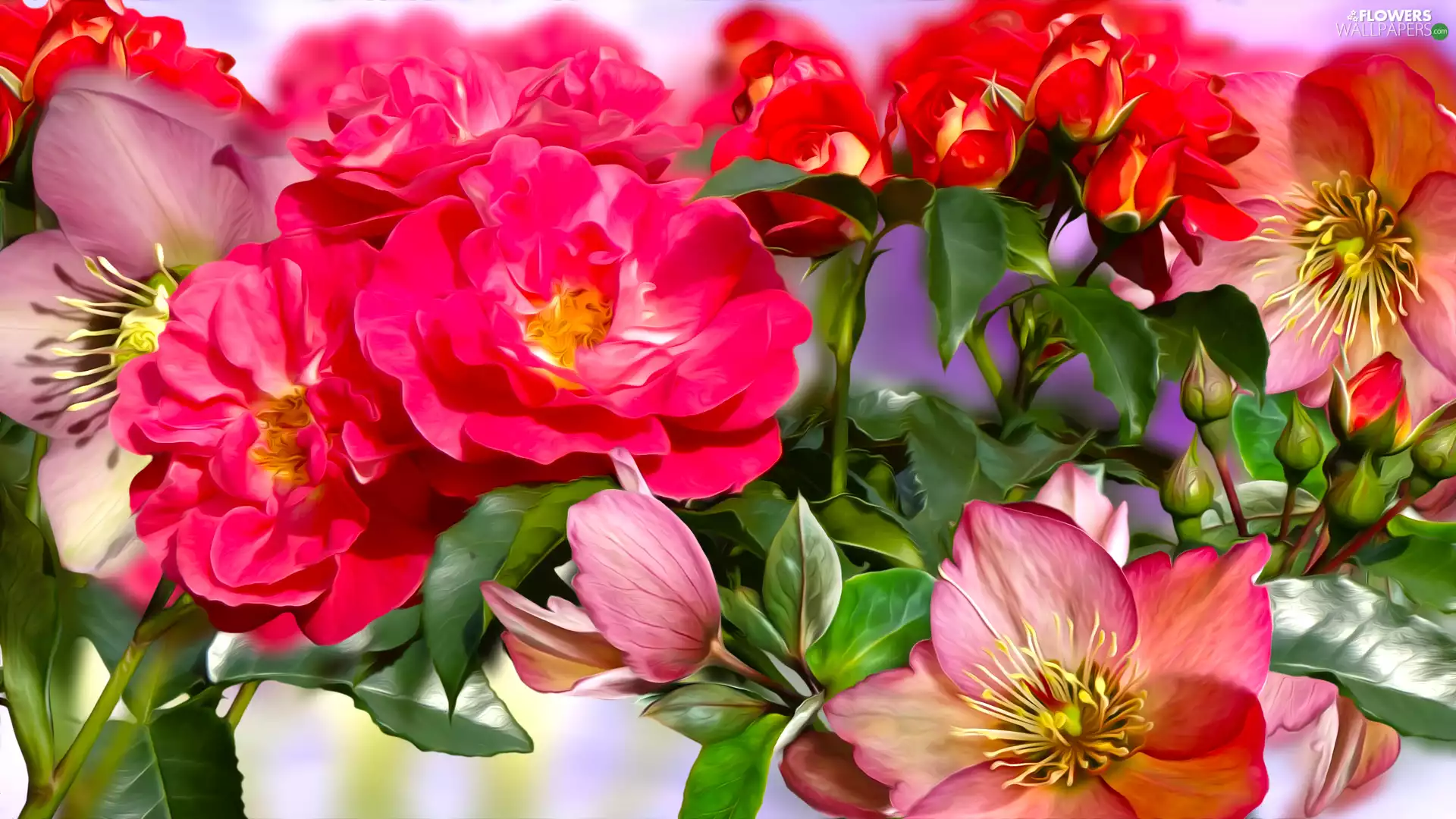 Multicoloured, roses, graphics, Flowers