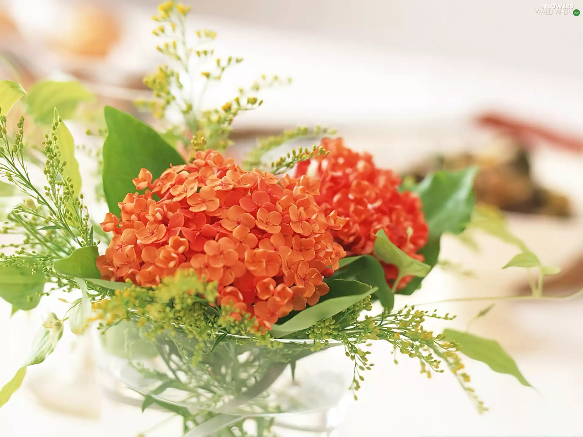 flowers, bouquet, orange