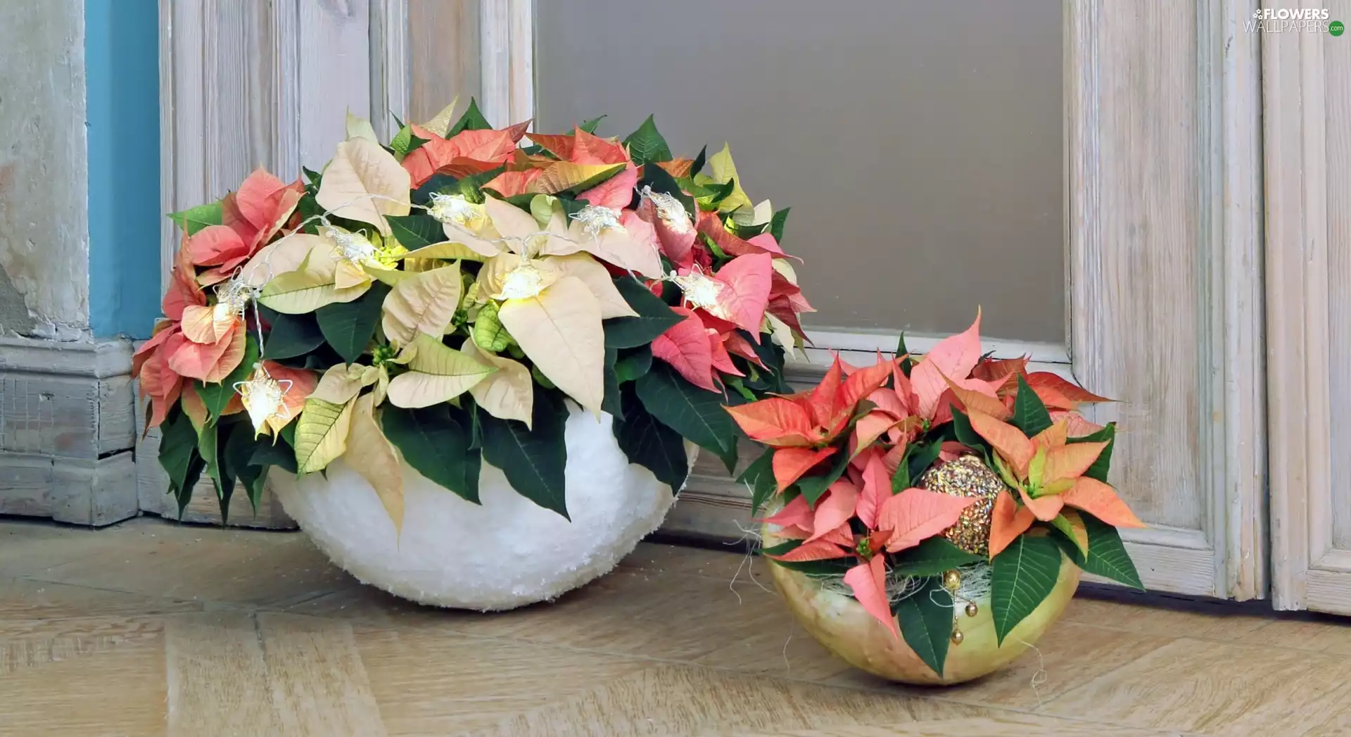 Flowers, pots, ornament