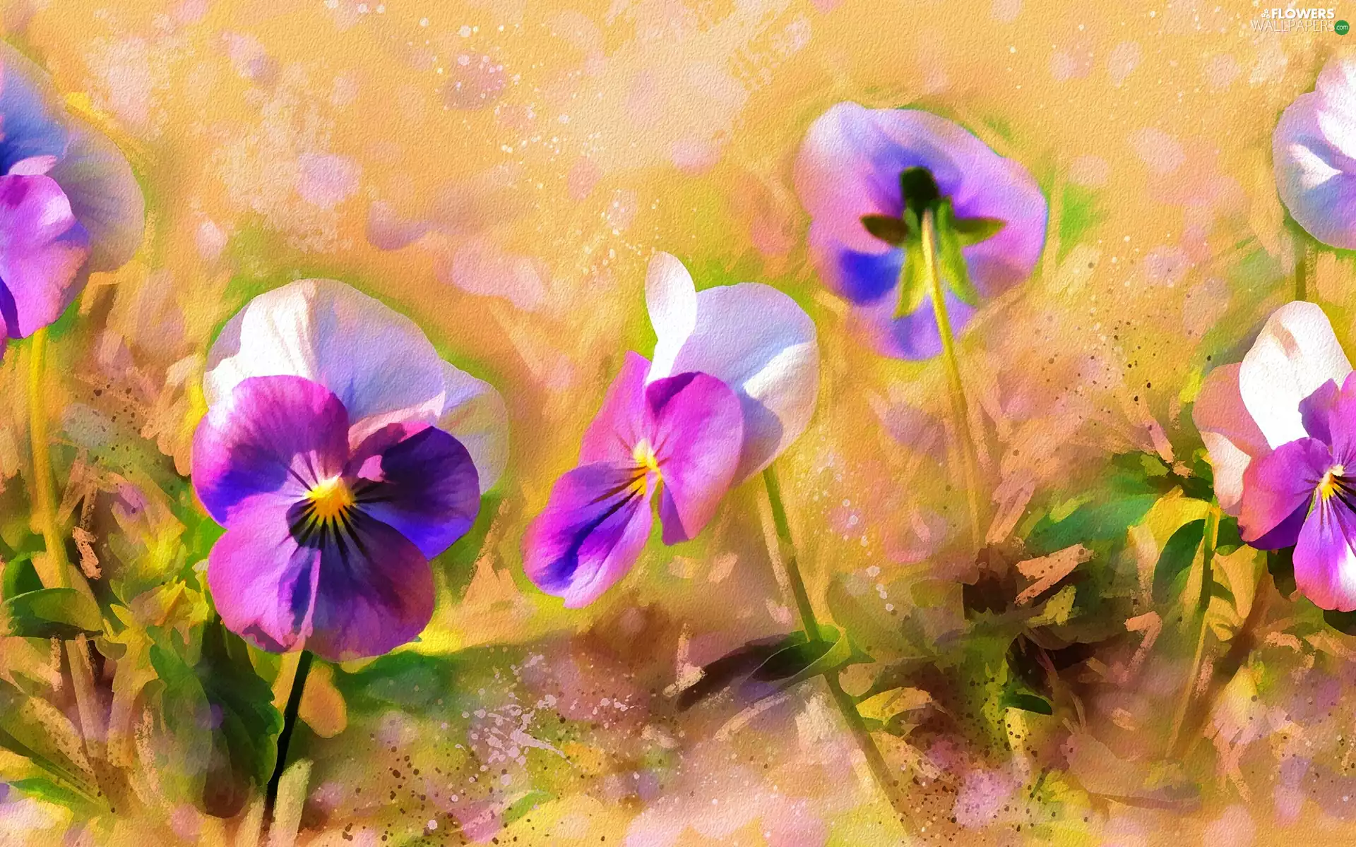 pansies, picture, watercolor, Flowers