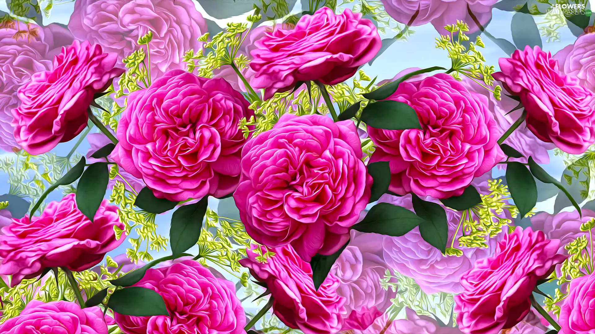 Pink, roses, graphics, Flowers