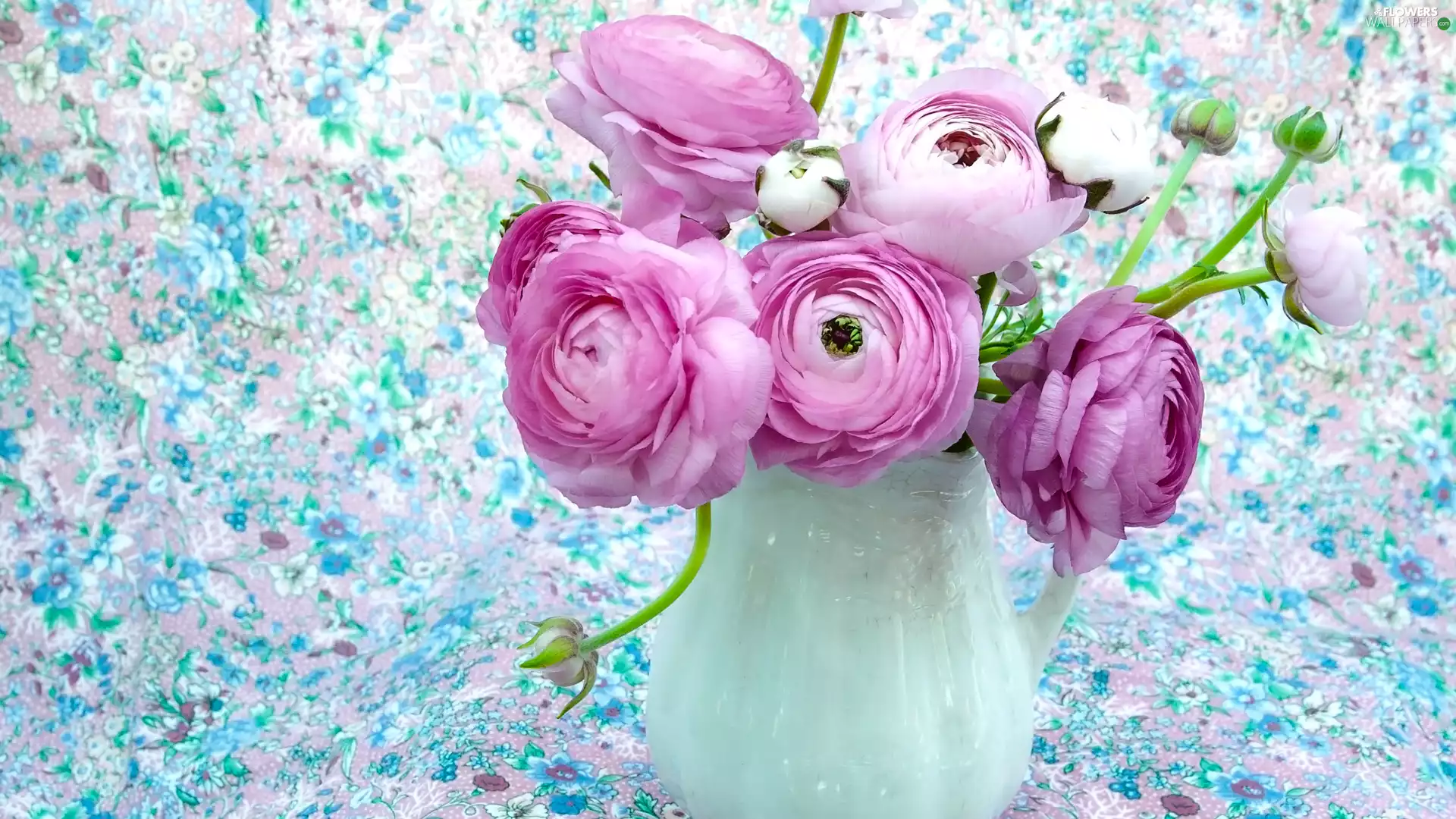 Pink, glaucoma, jug, Flowers