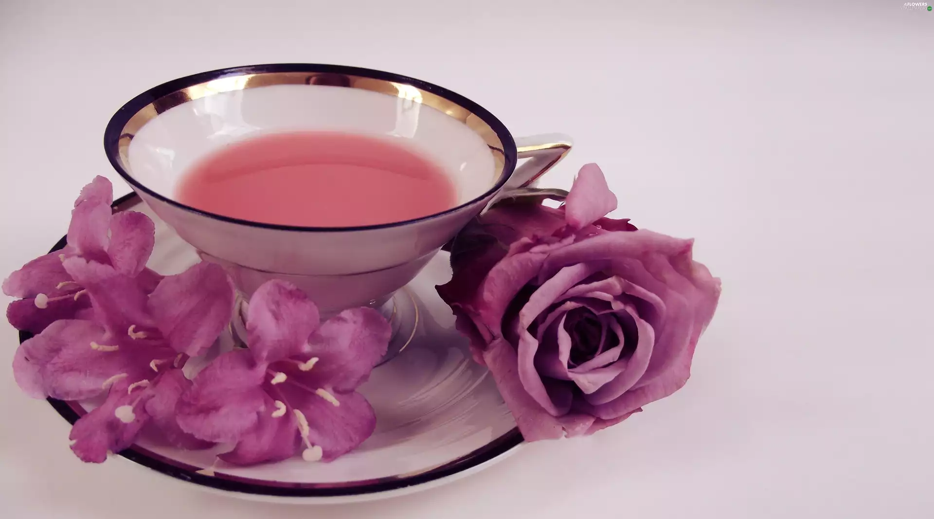 rose, Flowers, plate, tea, cup