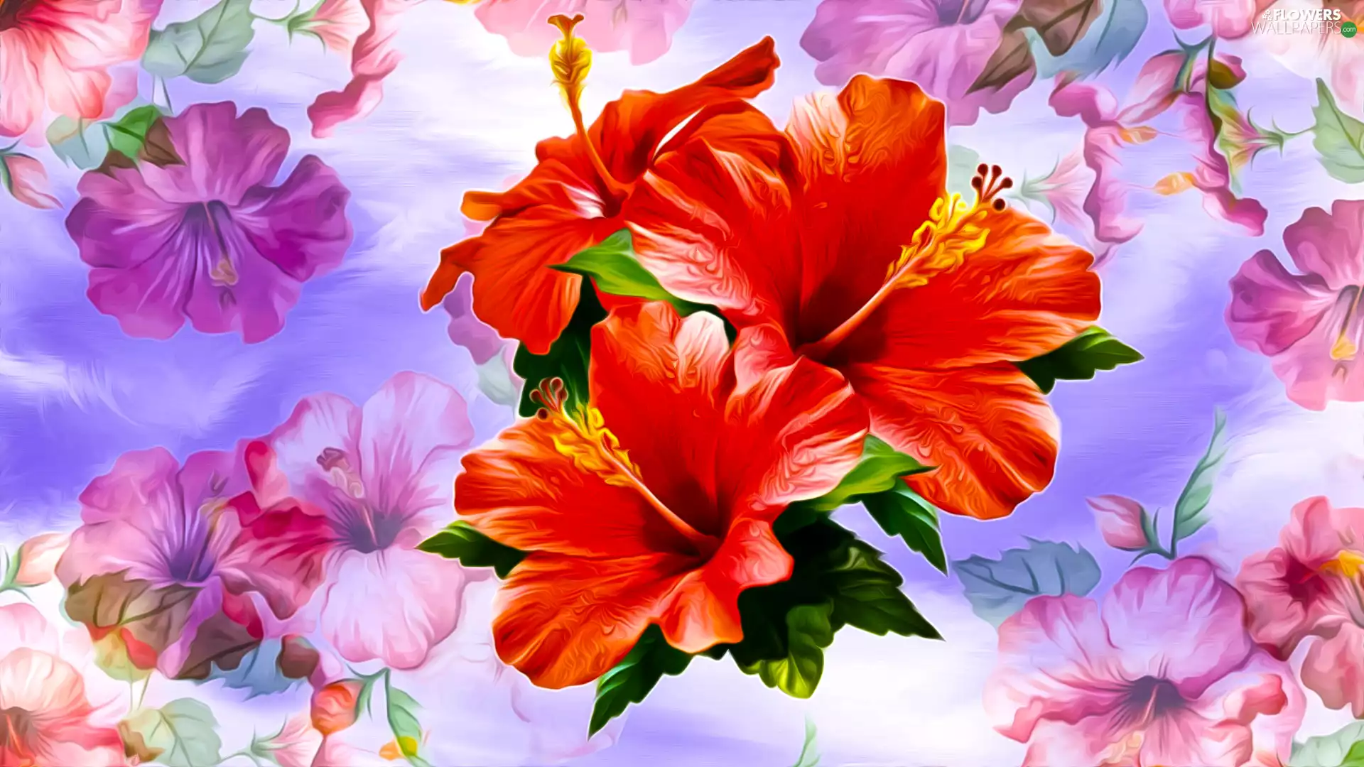 Red, hibiscus, graphics, Flowers