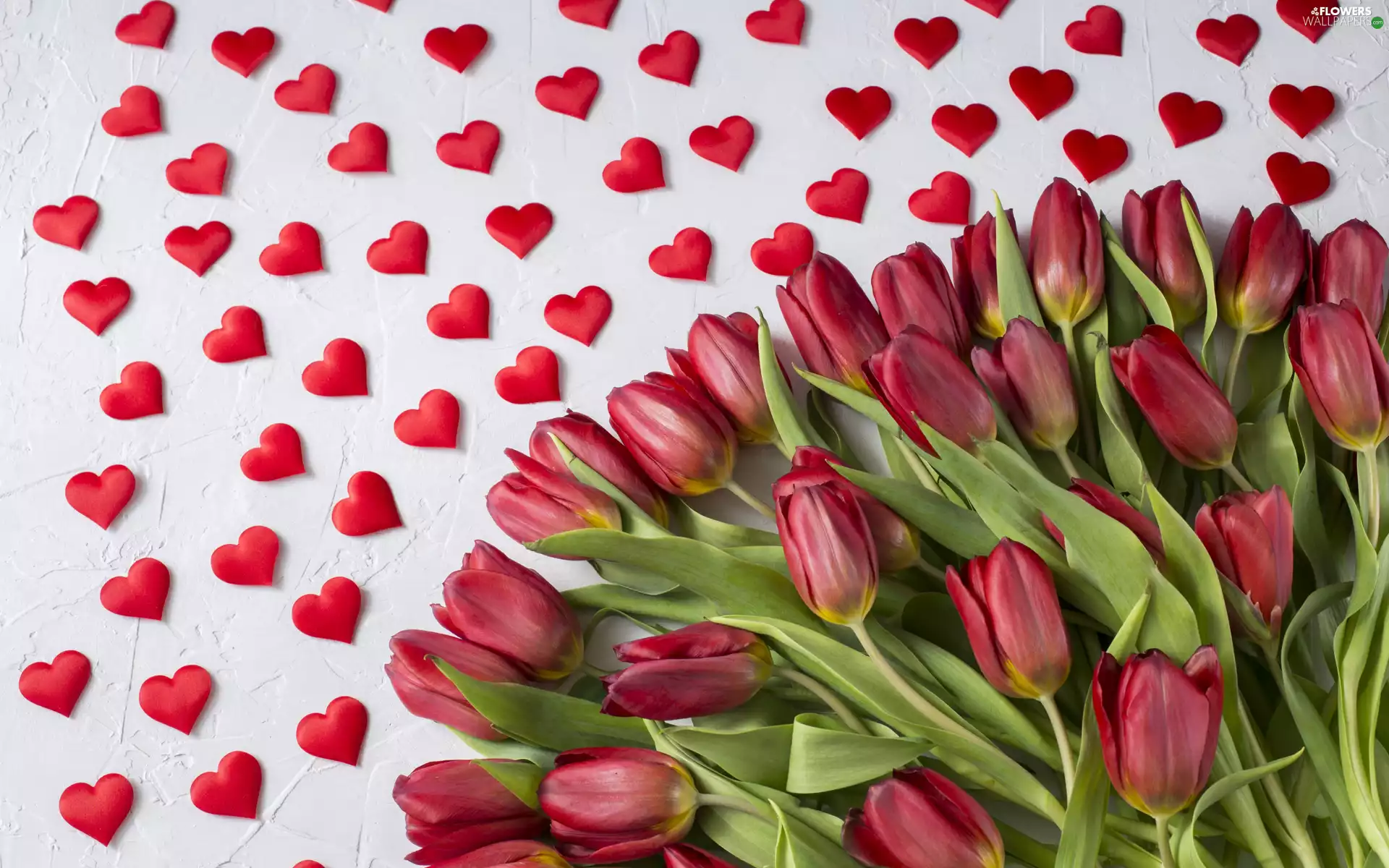 Red, Tulips, hearts, Flowers