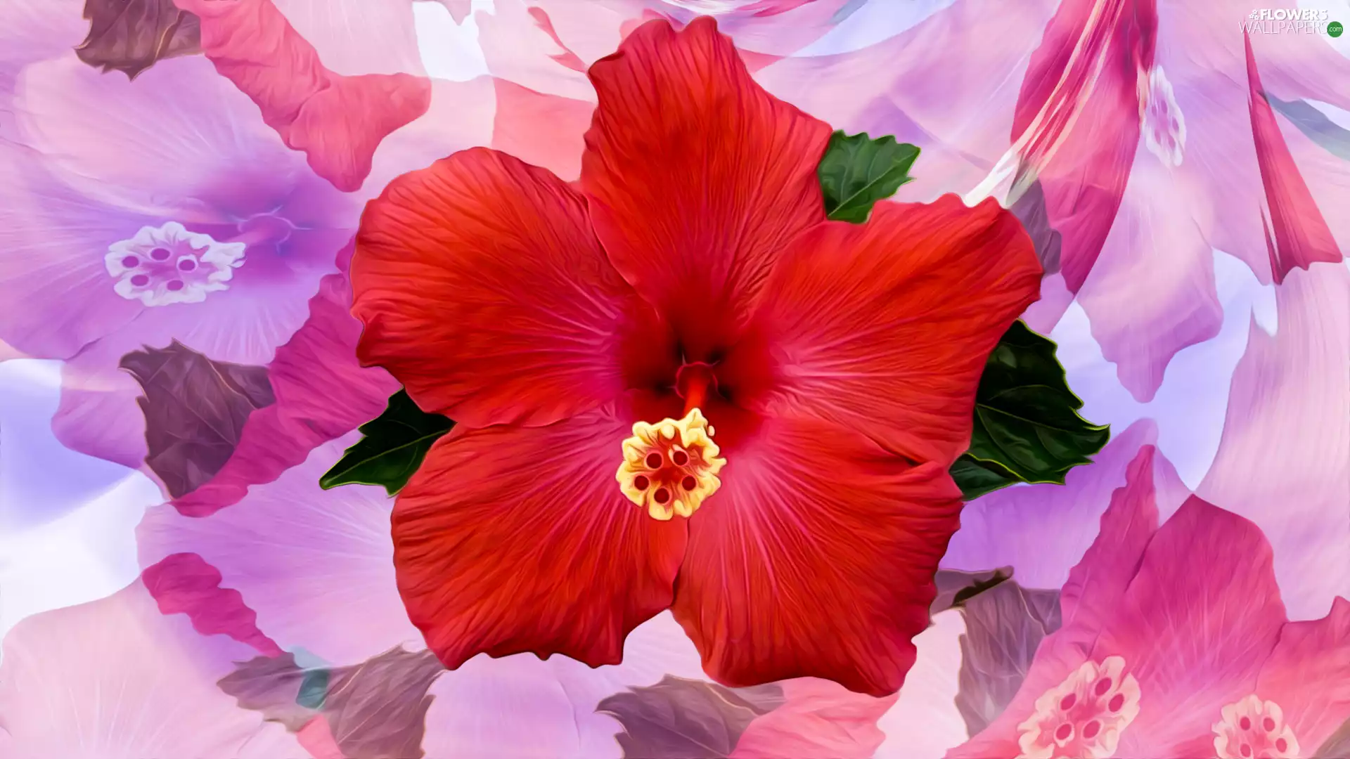 Colourfull Flowers, Red, graphics, hibiskus