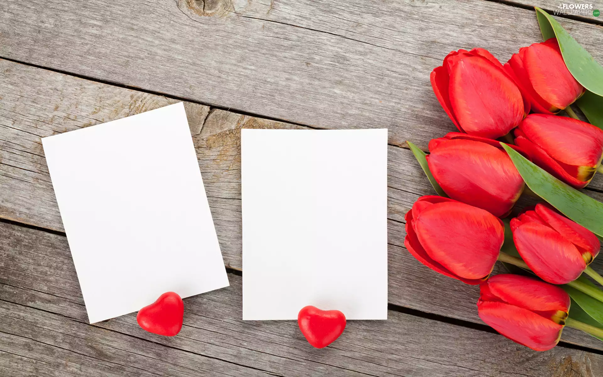 boarding, Tulips, Red, Valentine