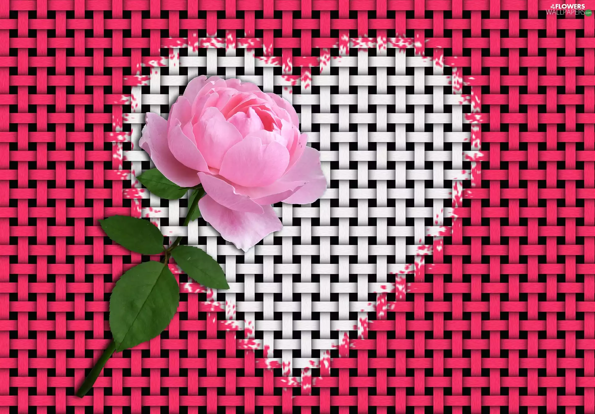 rose, Heart, Colourfull Flowers