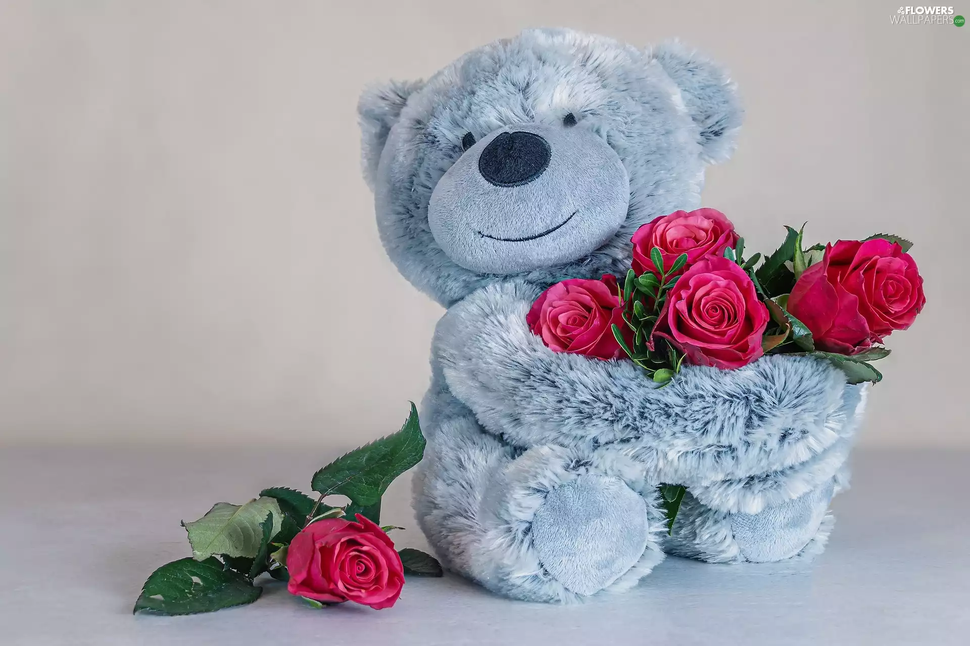 Plush, Flowers, roses, teddy bear