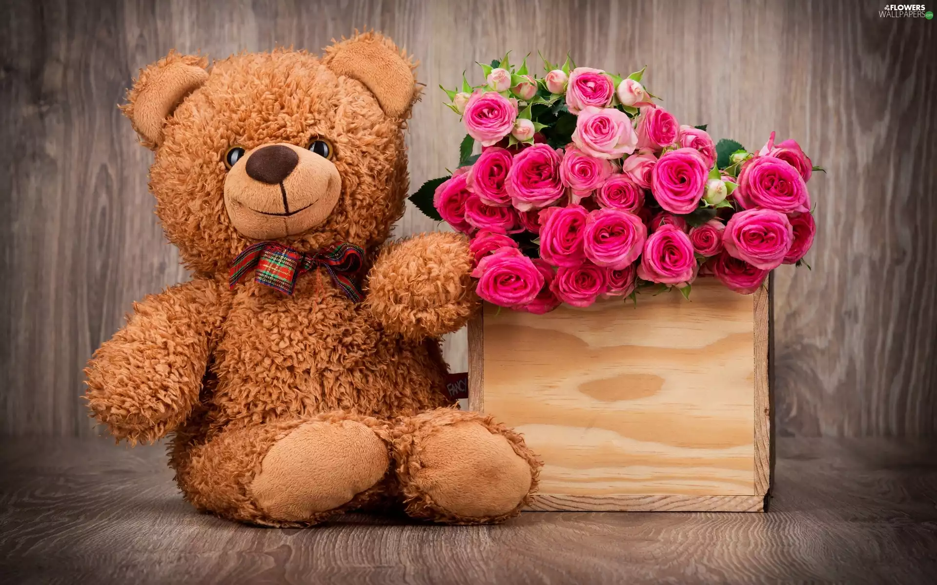 roses, Teddy Bear, Flowers