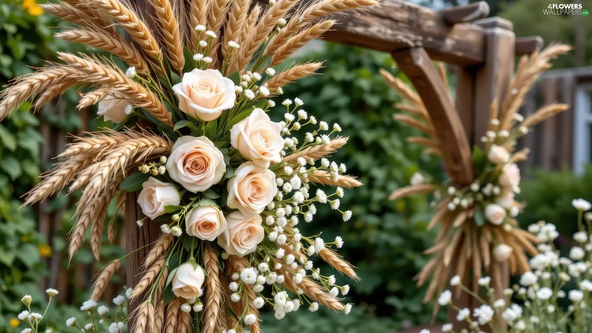 roses, Ears, corn, Flowers