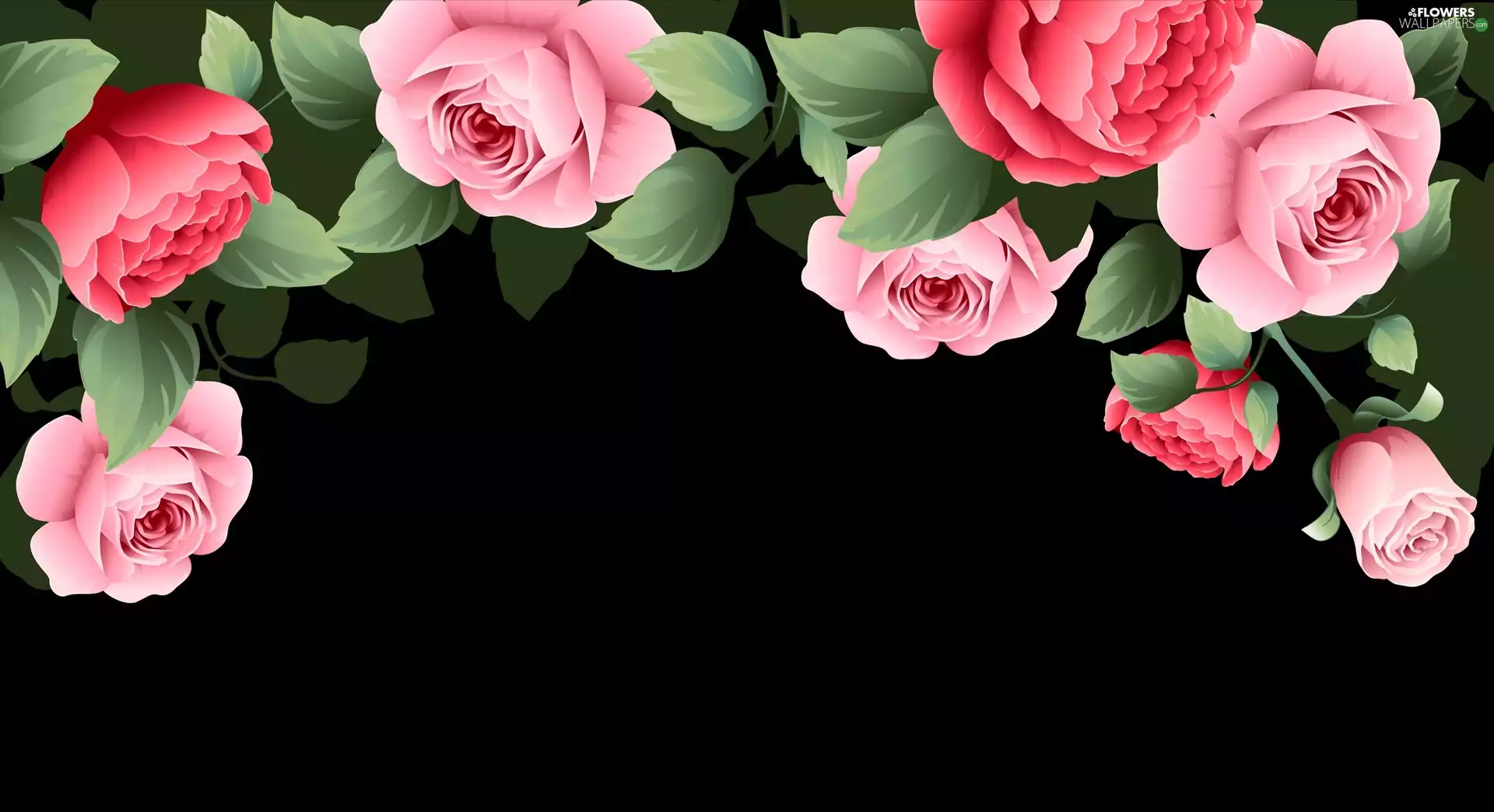 background, 2D Graphics, Flowers, Black, roses