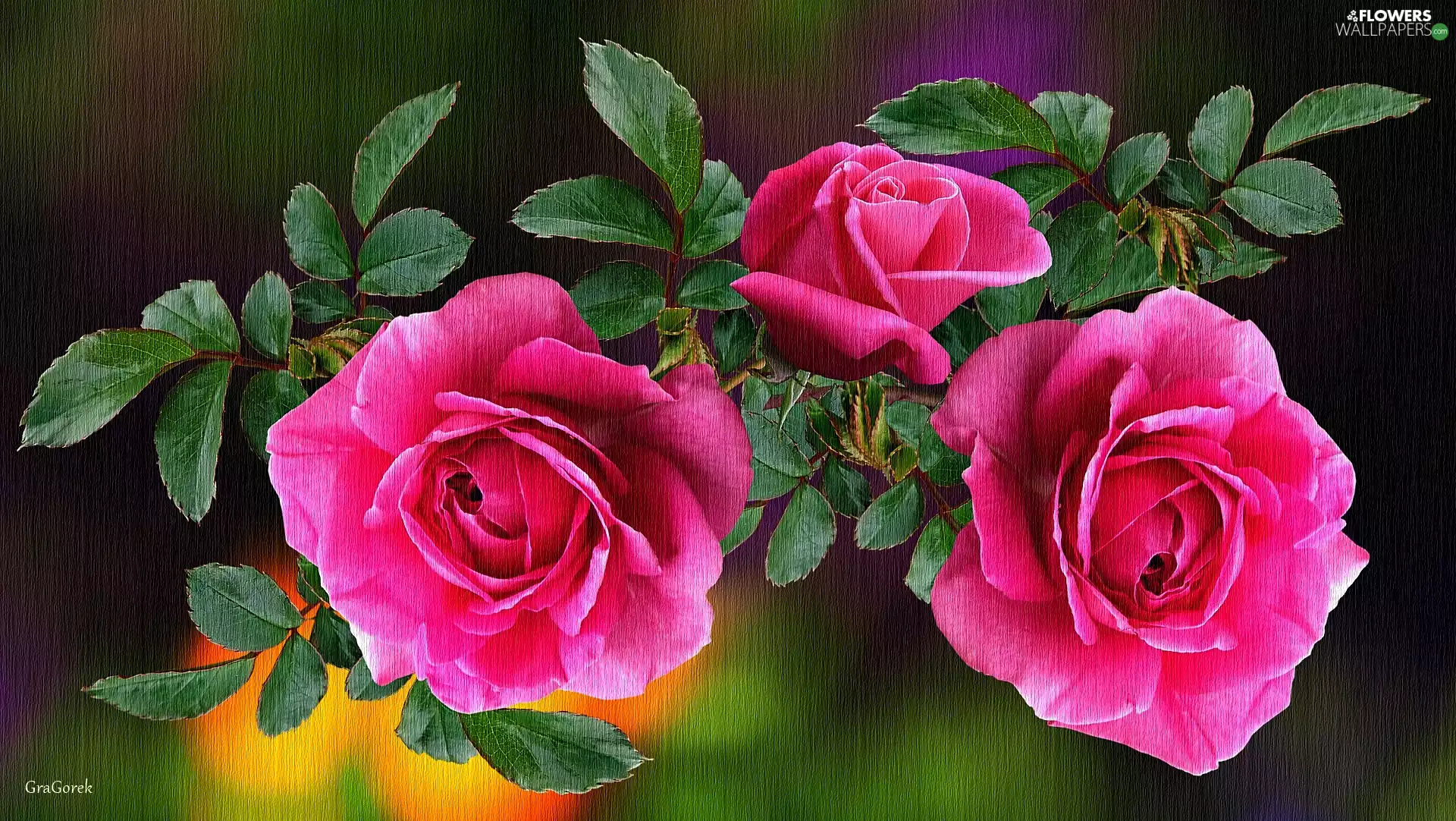roses, Leaf, graphics, Flowers