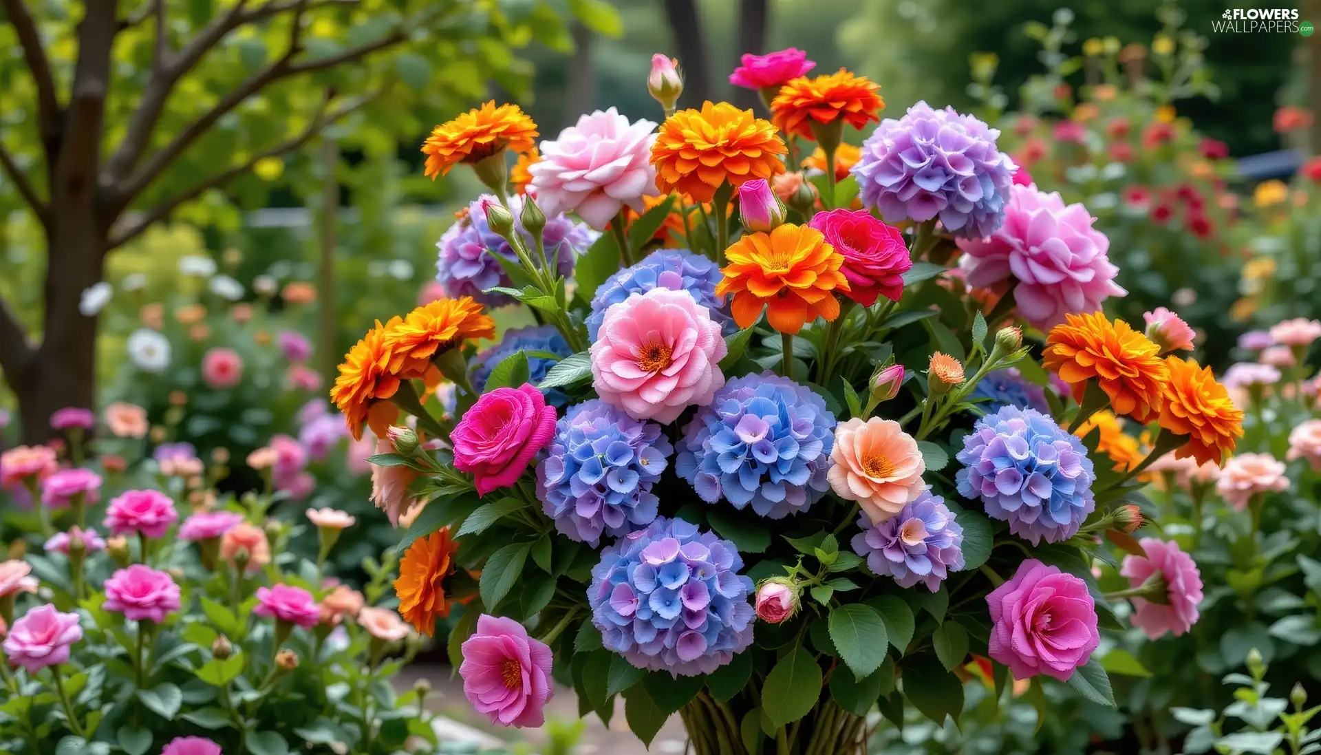 hydrangeas, color, Tagetes, Flowers, bouquet, roses, Garden
