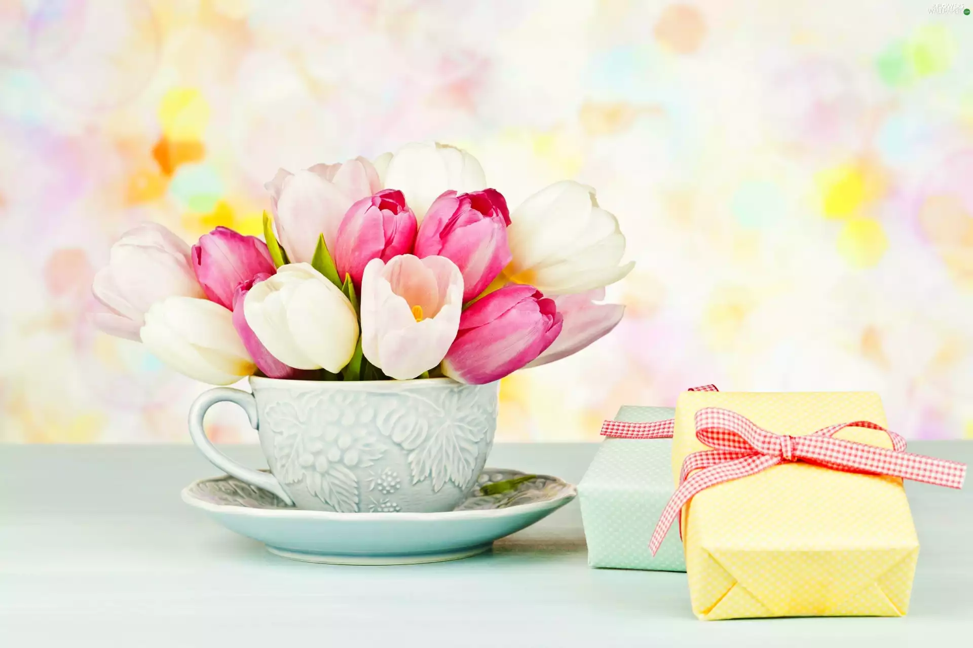 Tulips, gifts, cup, Flowers