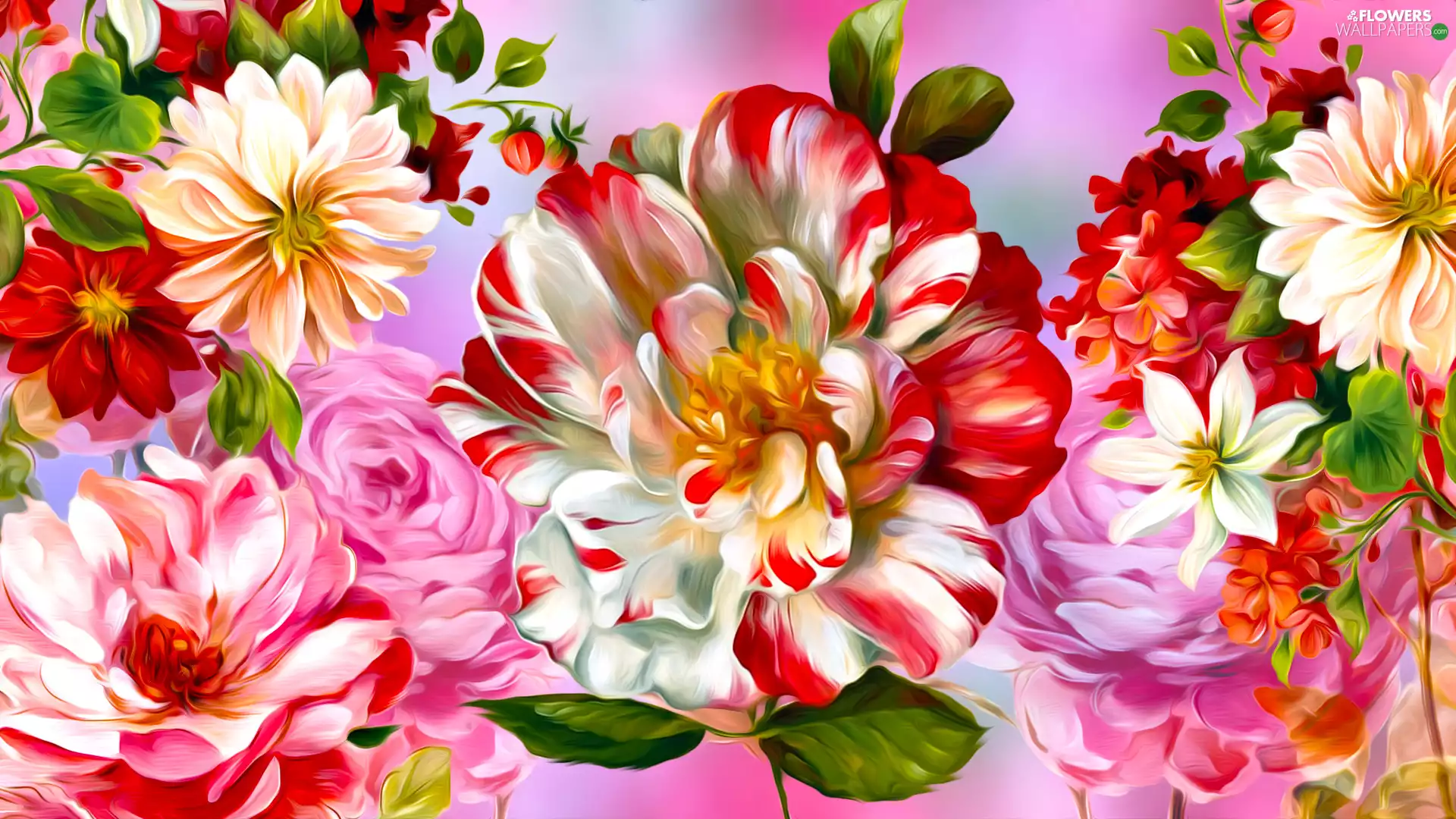camellia, graphics, two Colors, White and Red, Flowers