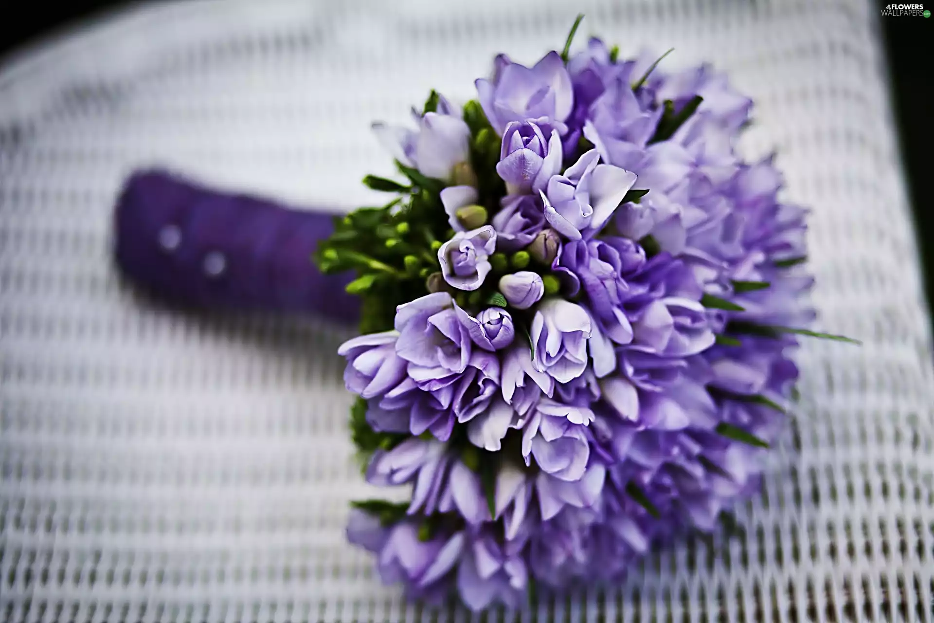 flowers, bouquet, violet