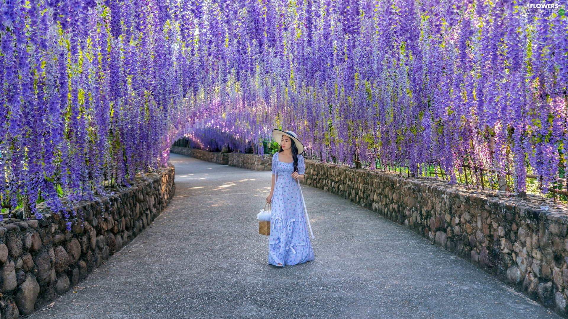 dress, Hat, wall, tunnel, wistaria, Blue, Women, Flowers