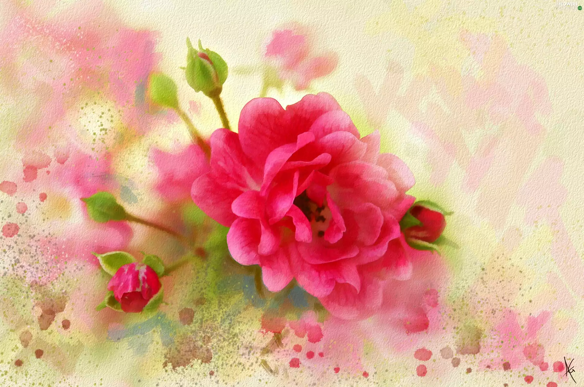 Buds, rose, watercolor, Alberto Guillen, picture, Colourfull Flowers
