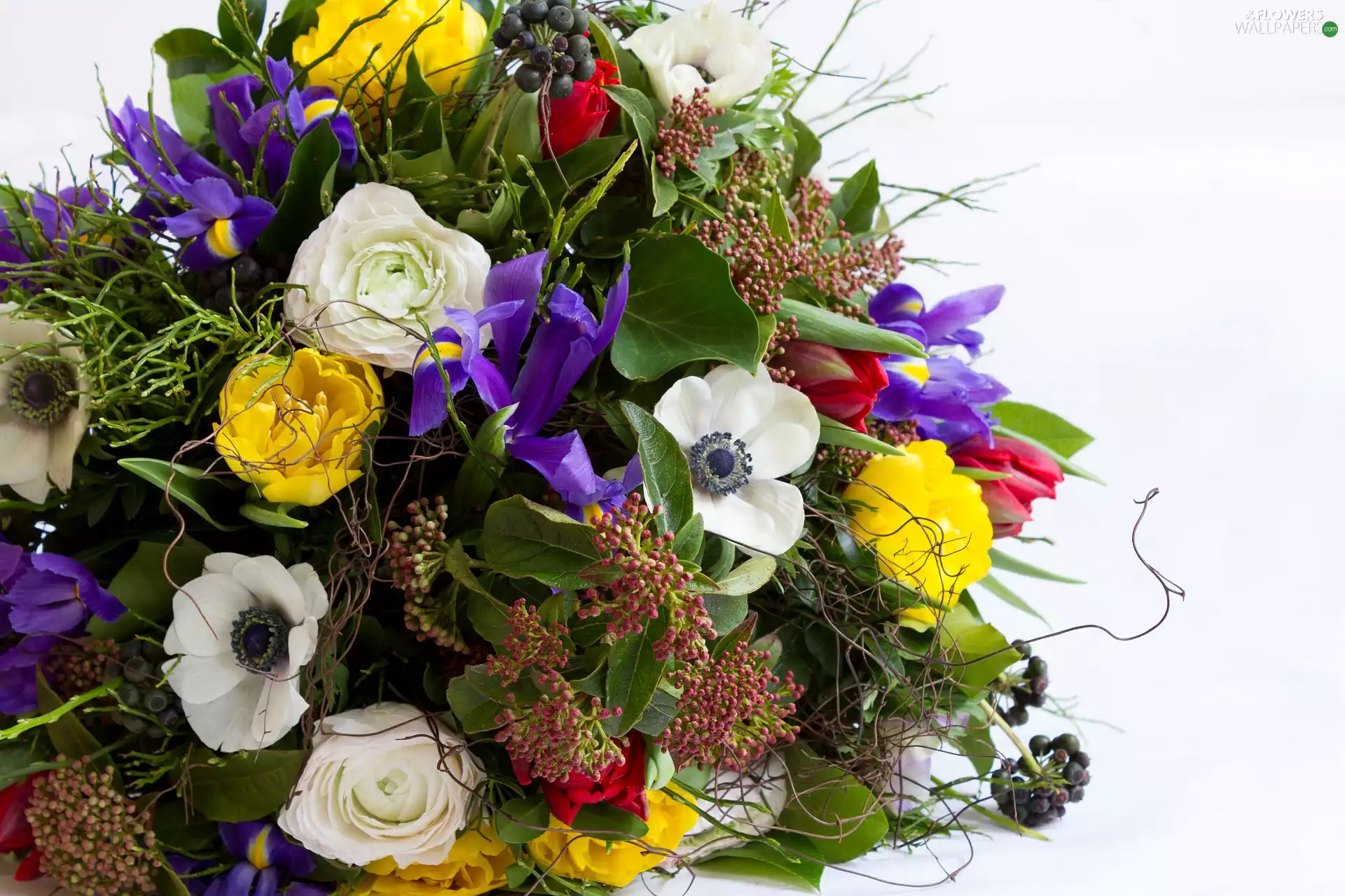 white background, bouquet, flowers