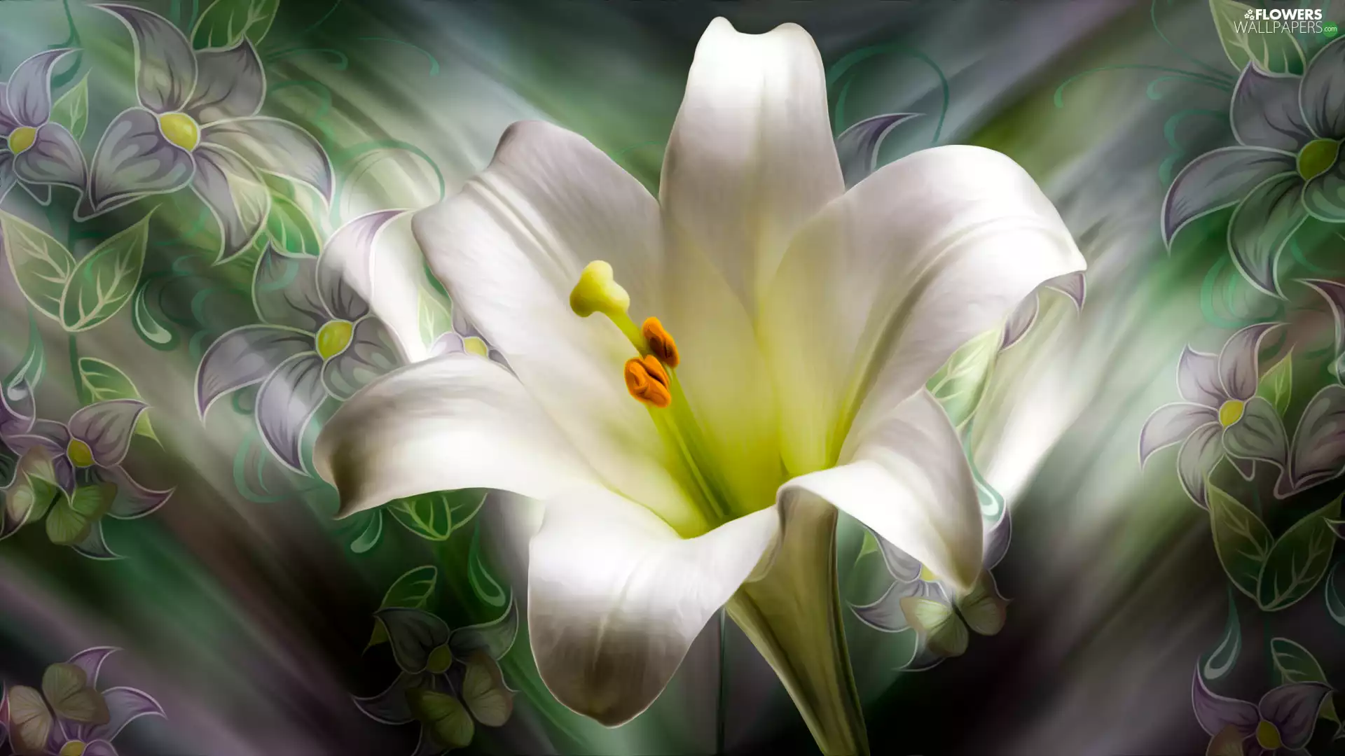 Colourfull Flowers, White, graphics, Lily