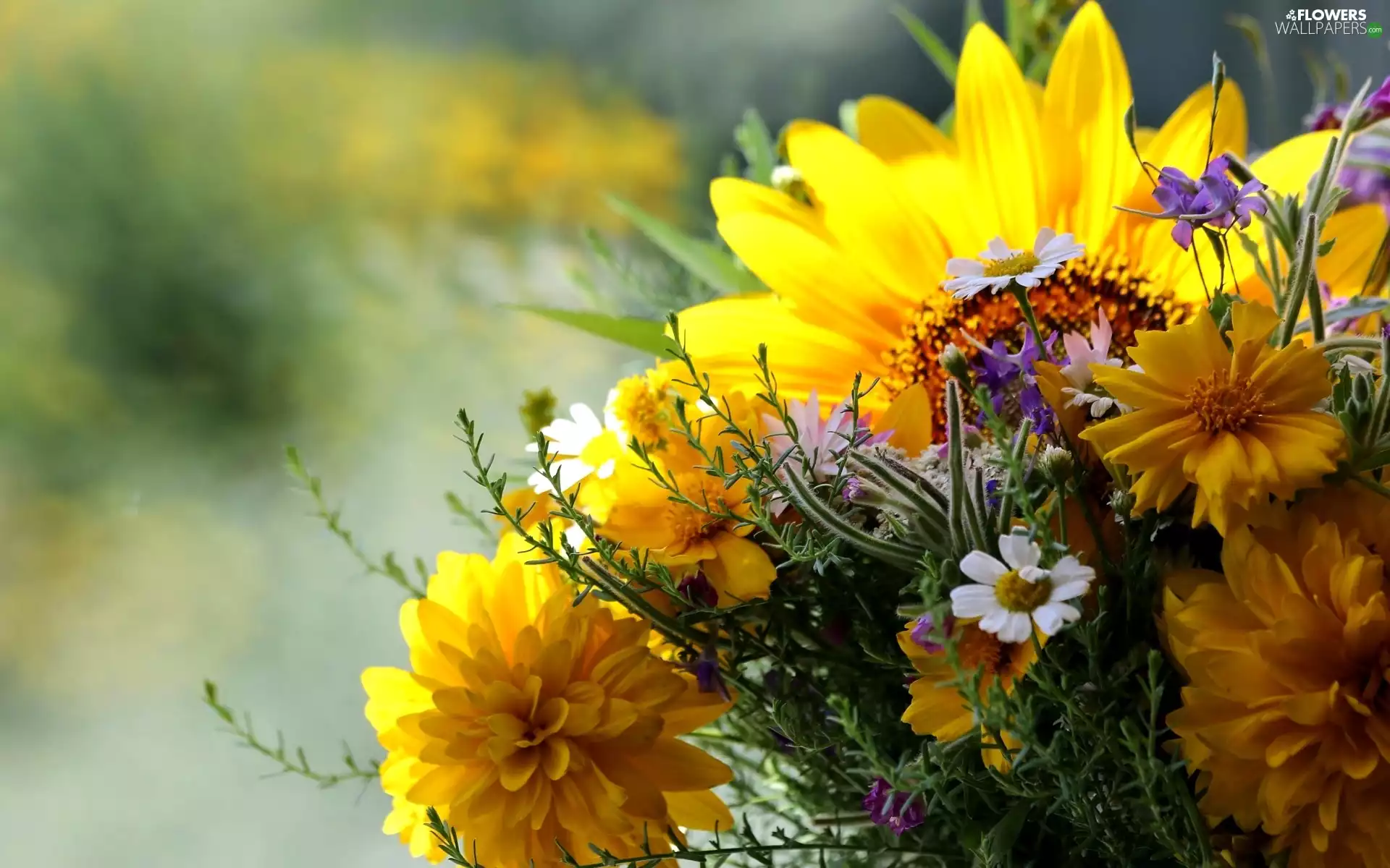 flowers, bouquet, wild